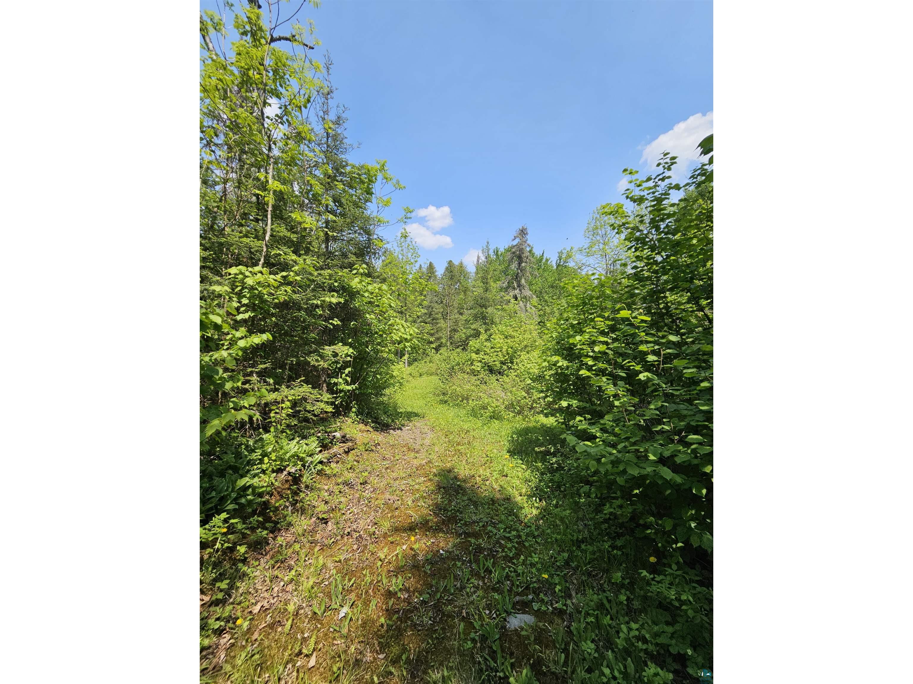 839 Loon Rd Two Harbors MN 55616 6124553 image21