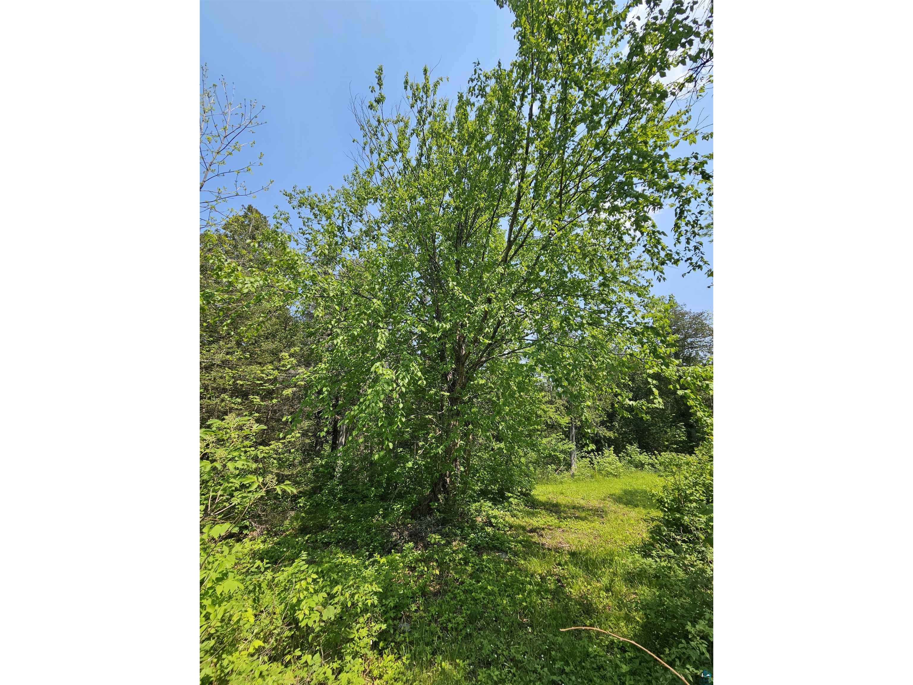 839 Loon Rd Two Harbors MN 55616 6124553 image22