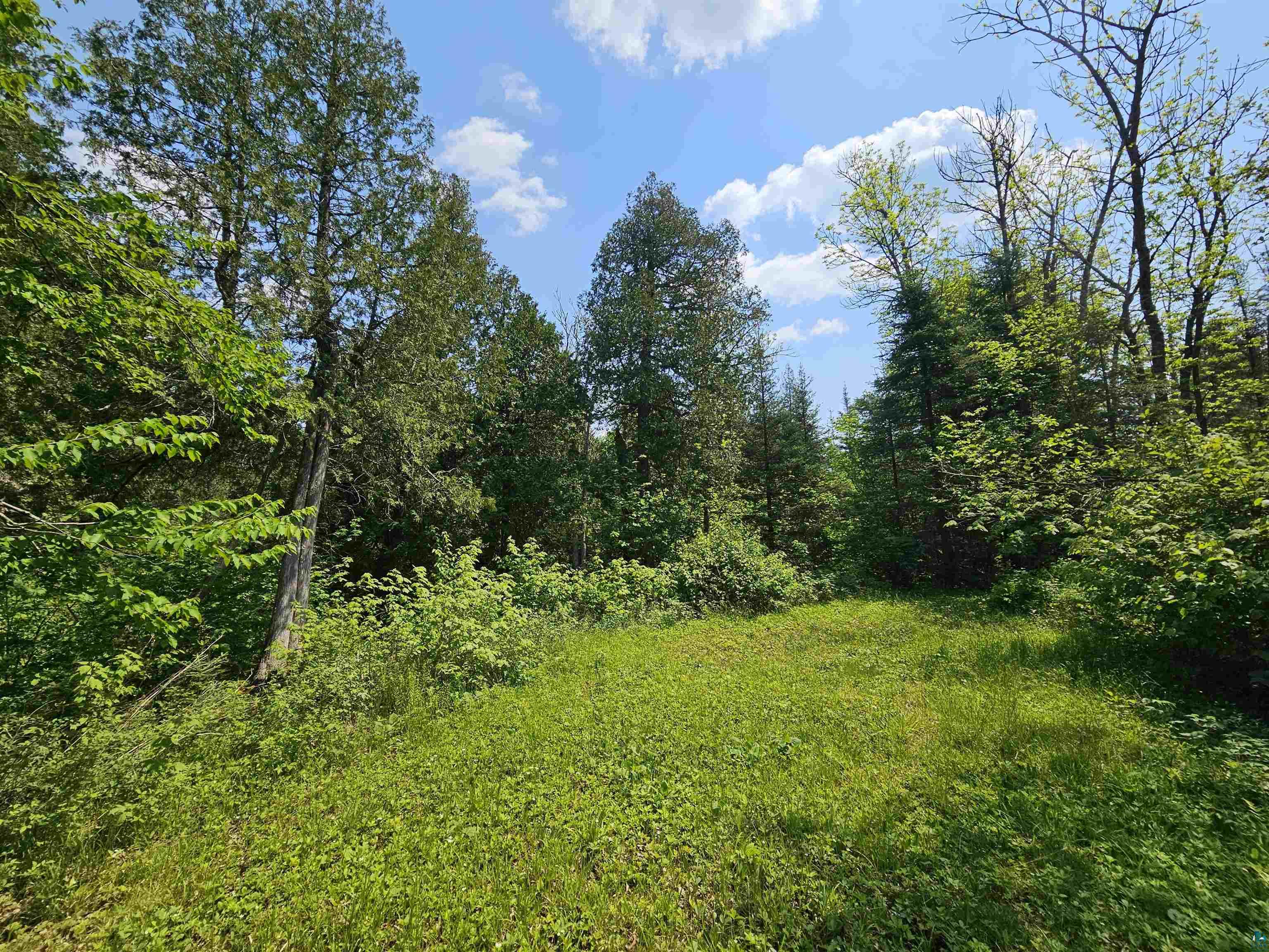 839 Loon Rd Two Harbors MN 55616 6124553 image23