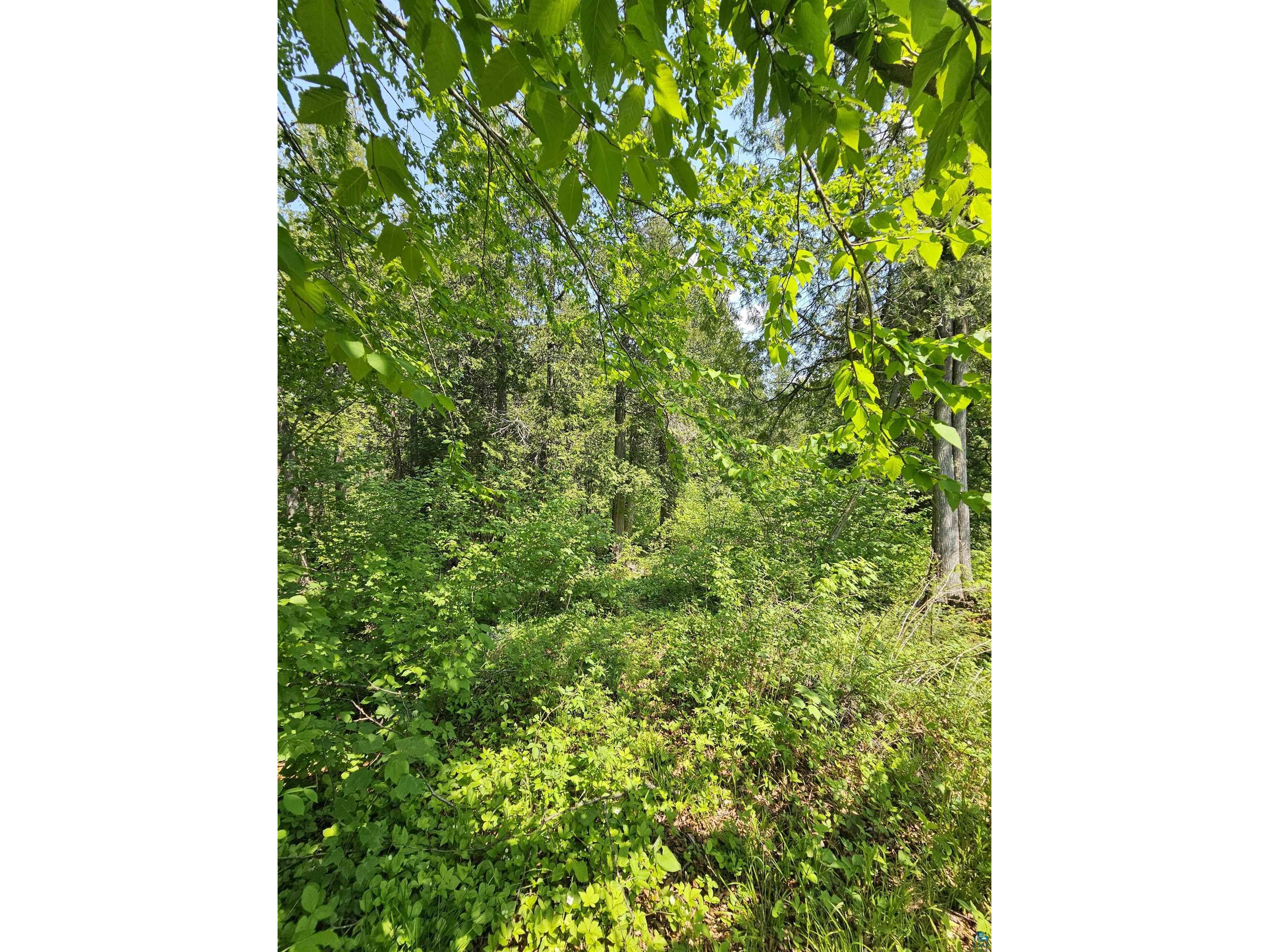 839 Loon Rd Two Harbors MN 55616 6124553 image24