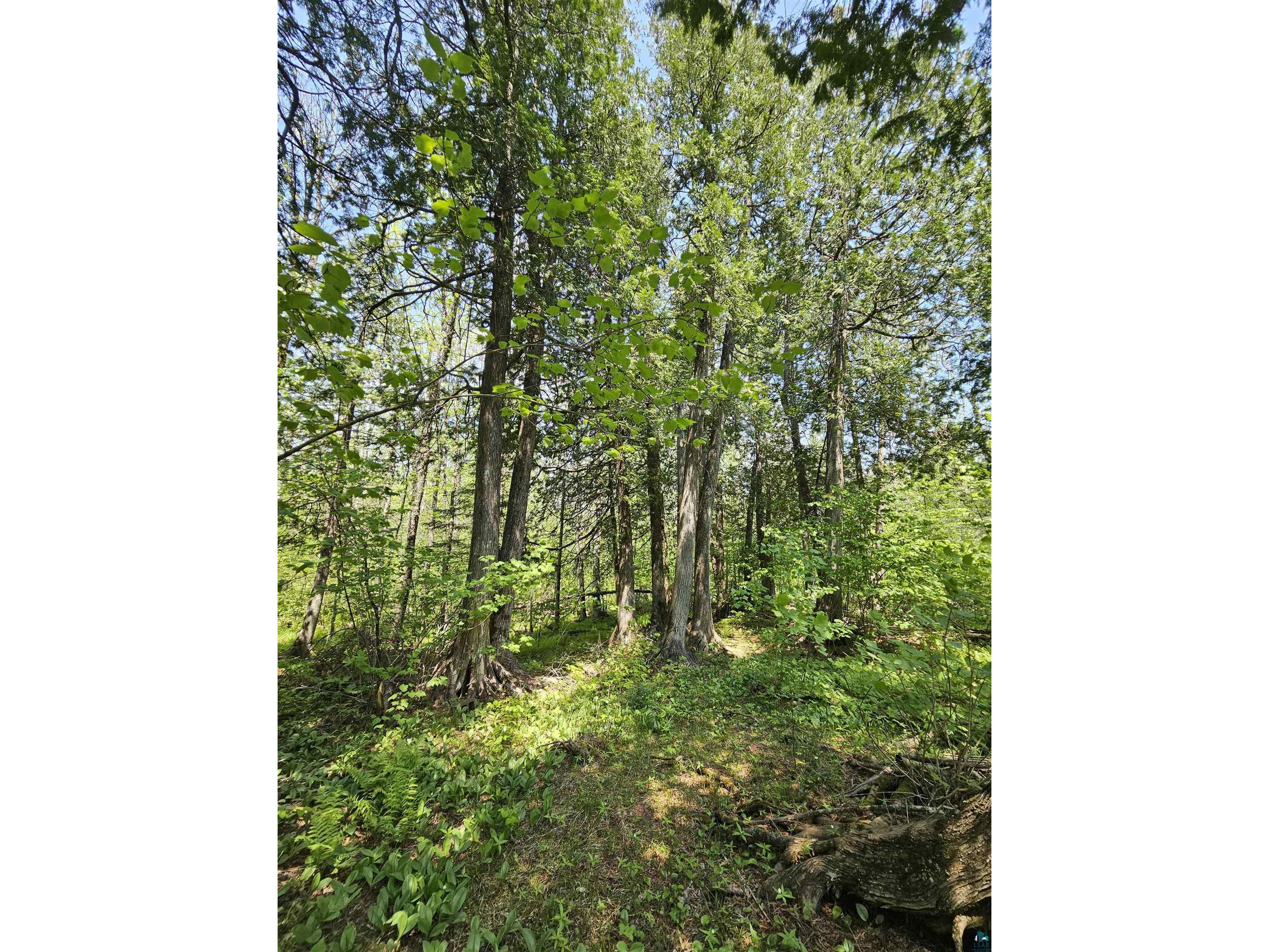 839 Loon Rd Two Harbors MN 55616 6124553 image25