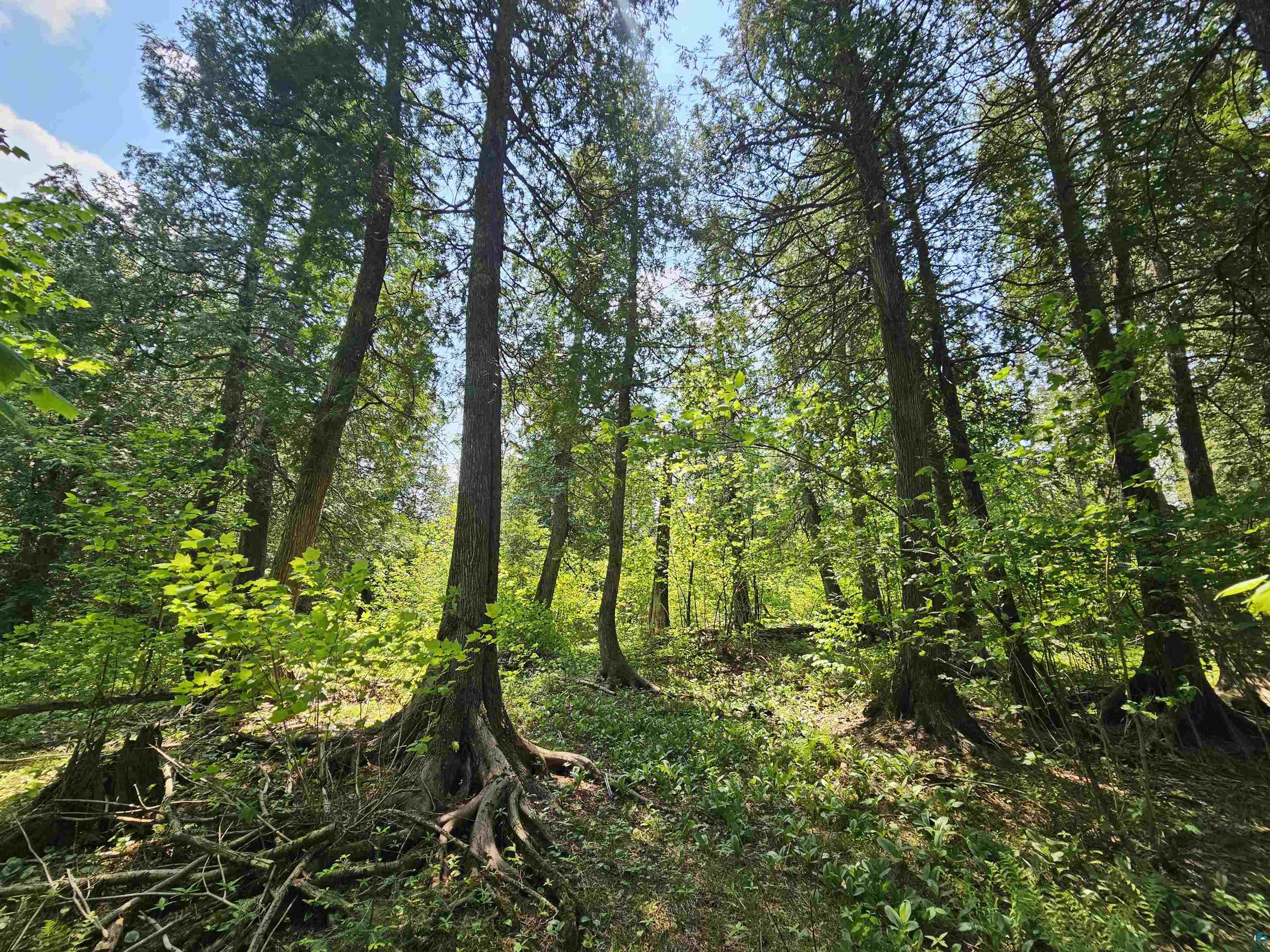 839 Loon Rd Two Harbors MN 55616 6124553 image26
