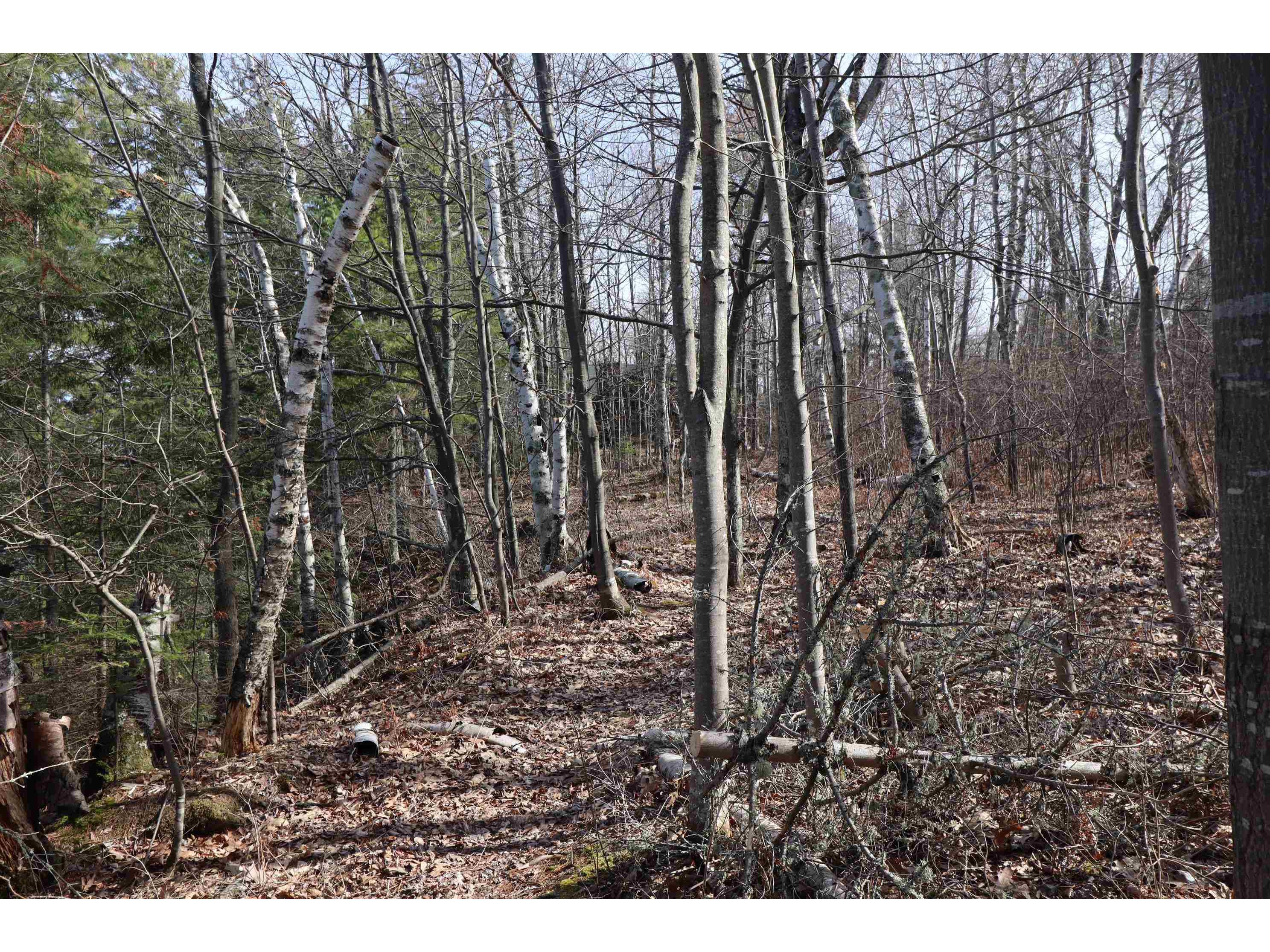 83XXX State Hwy 13 Bayfield WI 54814 - Lake Superior 6119017 image12