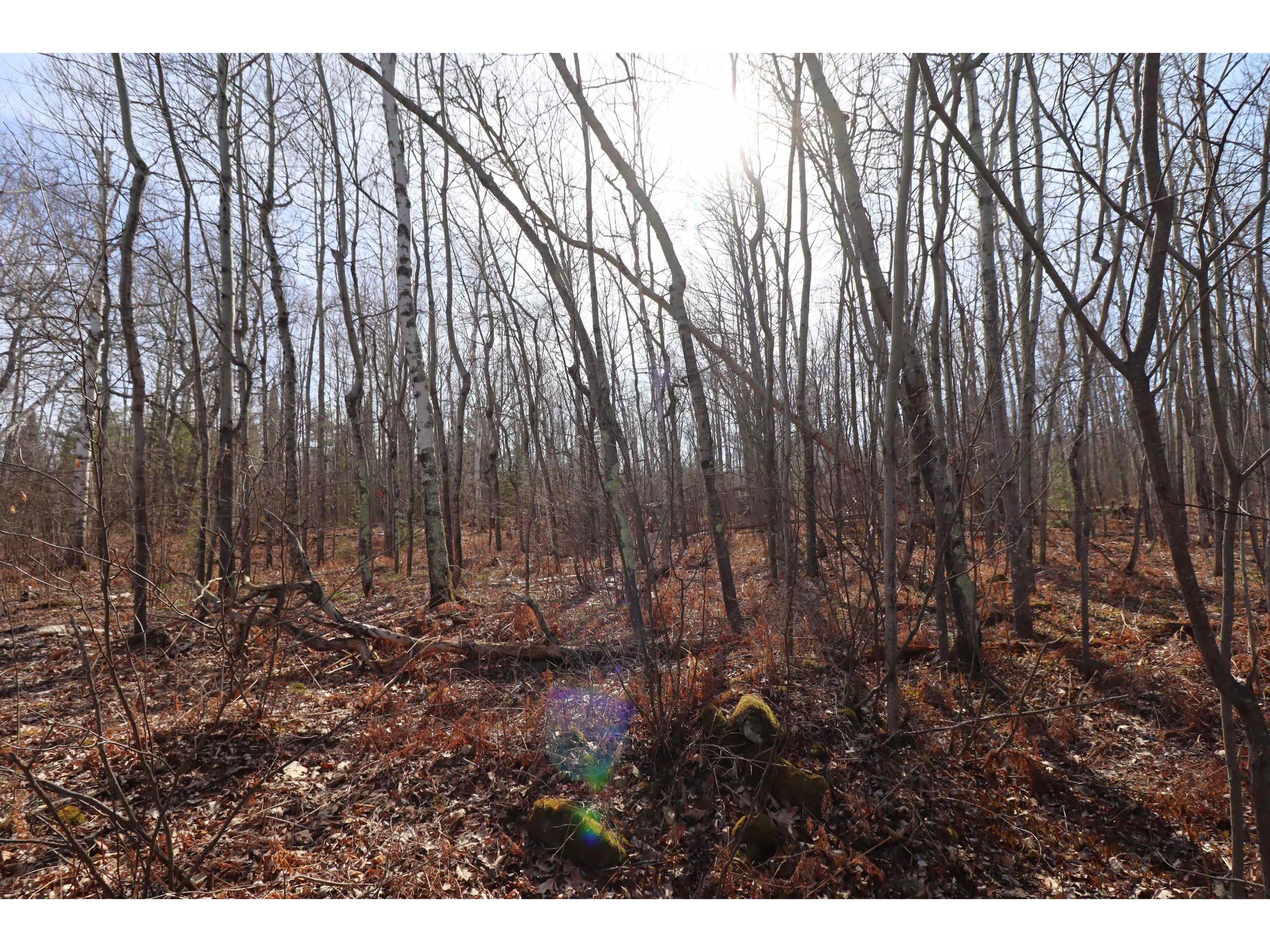 83XXX State Hwy 13 Bayfield WI 54814 - Lake Superior 6119017 image21