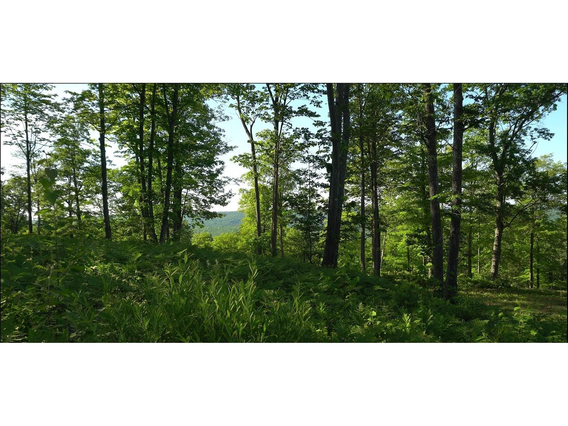 83xxx Ashwabay Heights Rd Bayfield WI 54814 6120831 image9