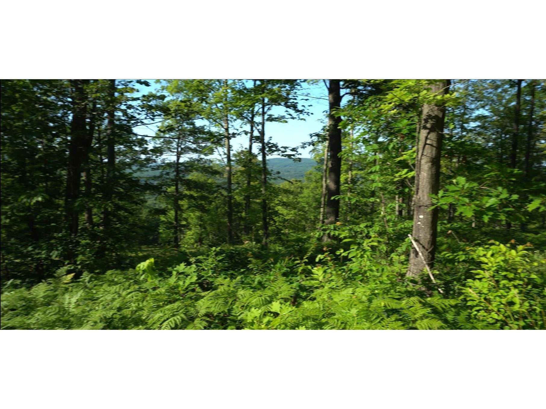 83xxx Ashwabay Heights Rd Bayfield WI 54814 6120832 image3