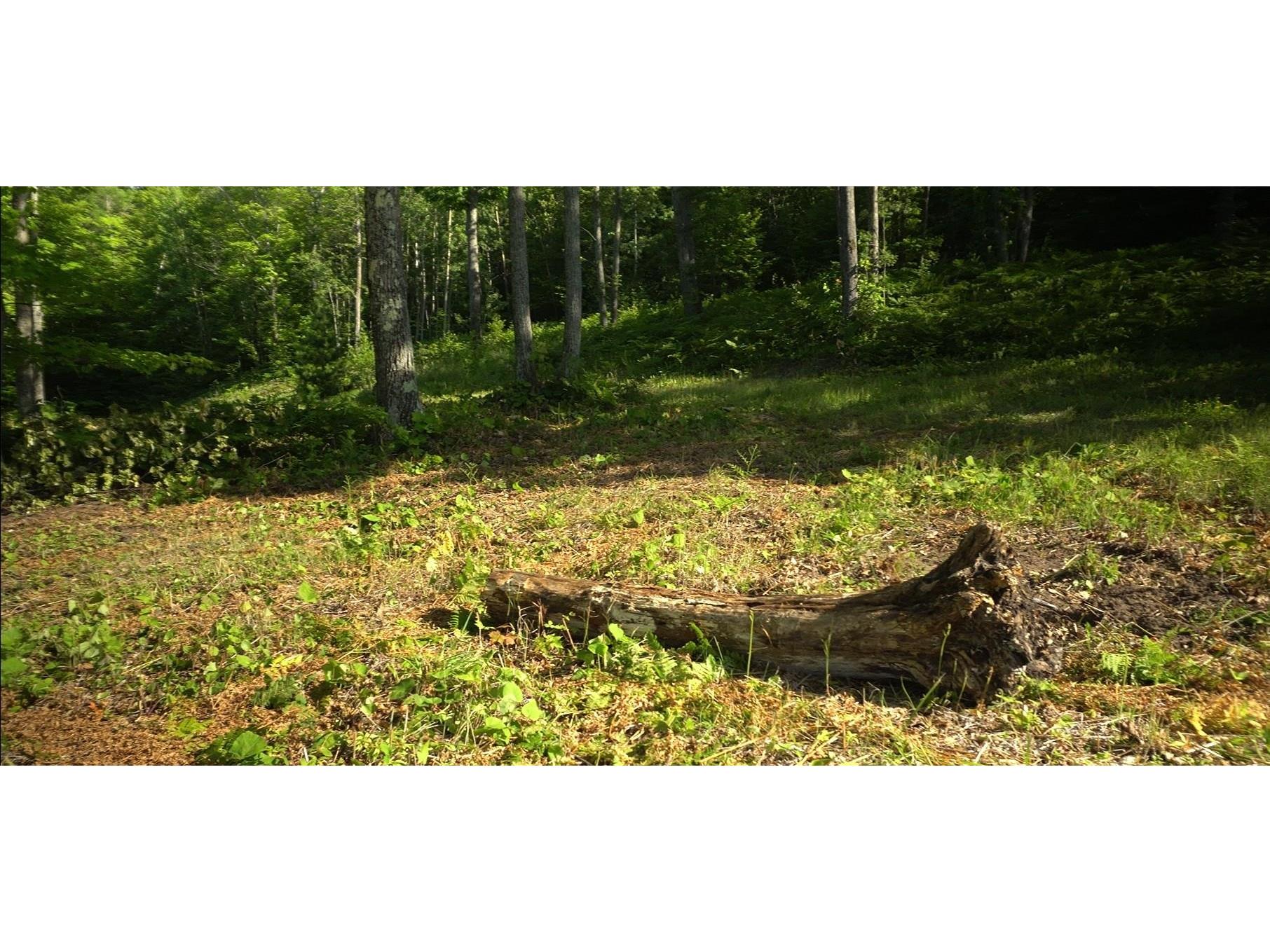 83xxx Ashwabay Heights Rd Bayfield WI 54814 6120832 image7