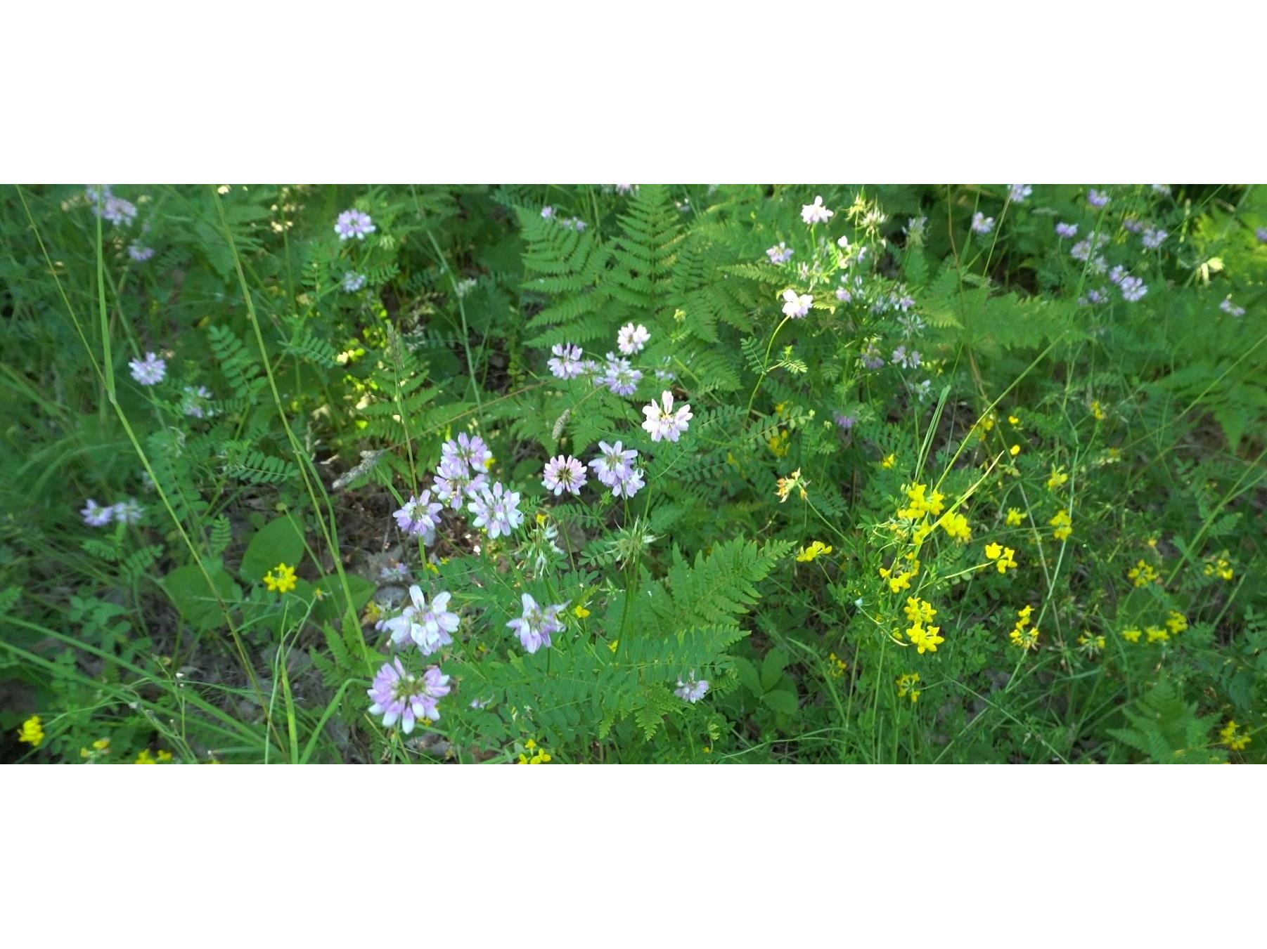 83xxx Ashwabay Heights Rd Bayfield WI 54814 6120833 image4