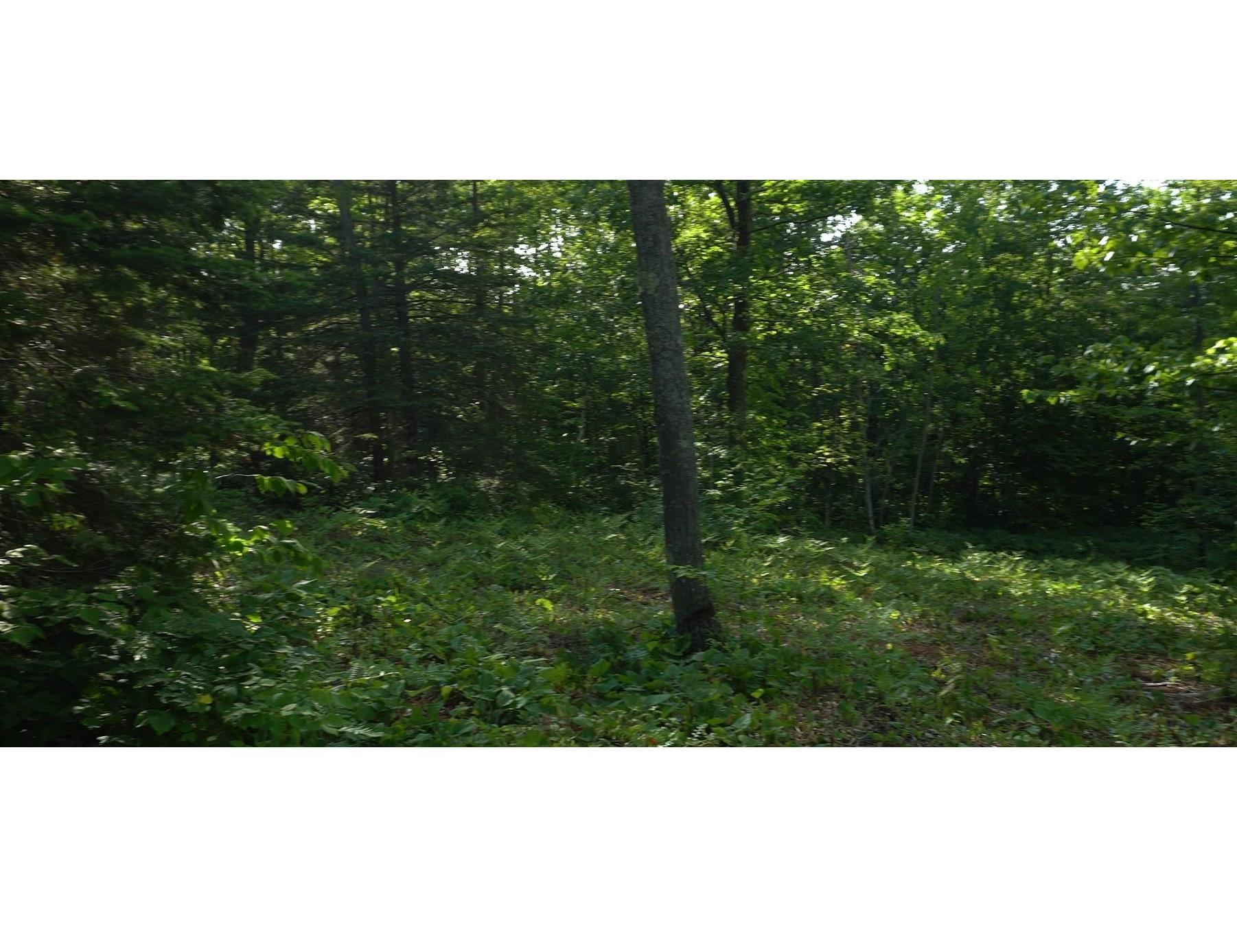 83xxx Ashwabay Heights Rd Bayfield WI 54814 6120833 image7