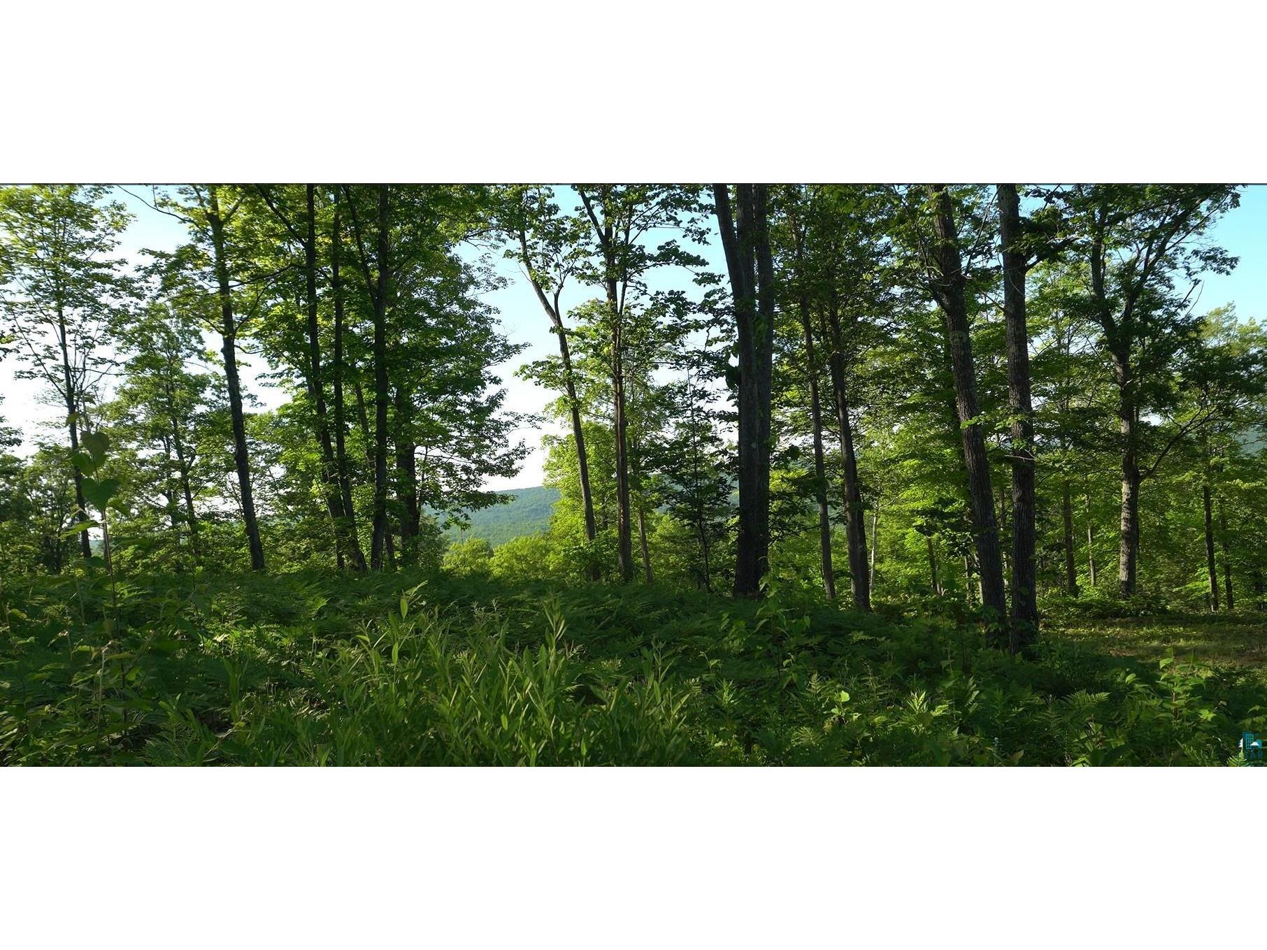 83xxx Ashwabay Heights Rd Bayfield WI 54814 6125071 image8