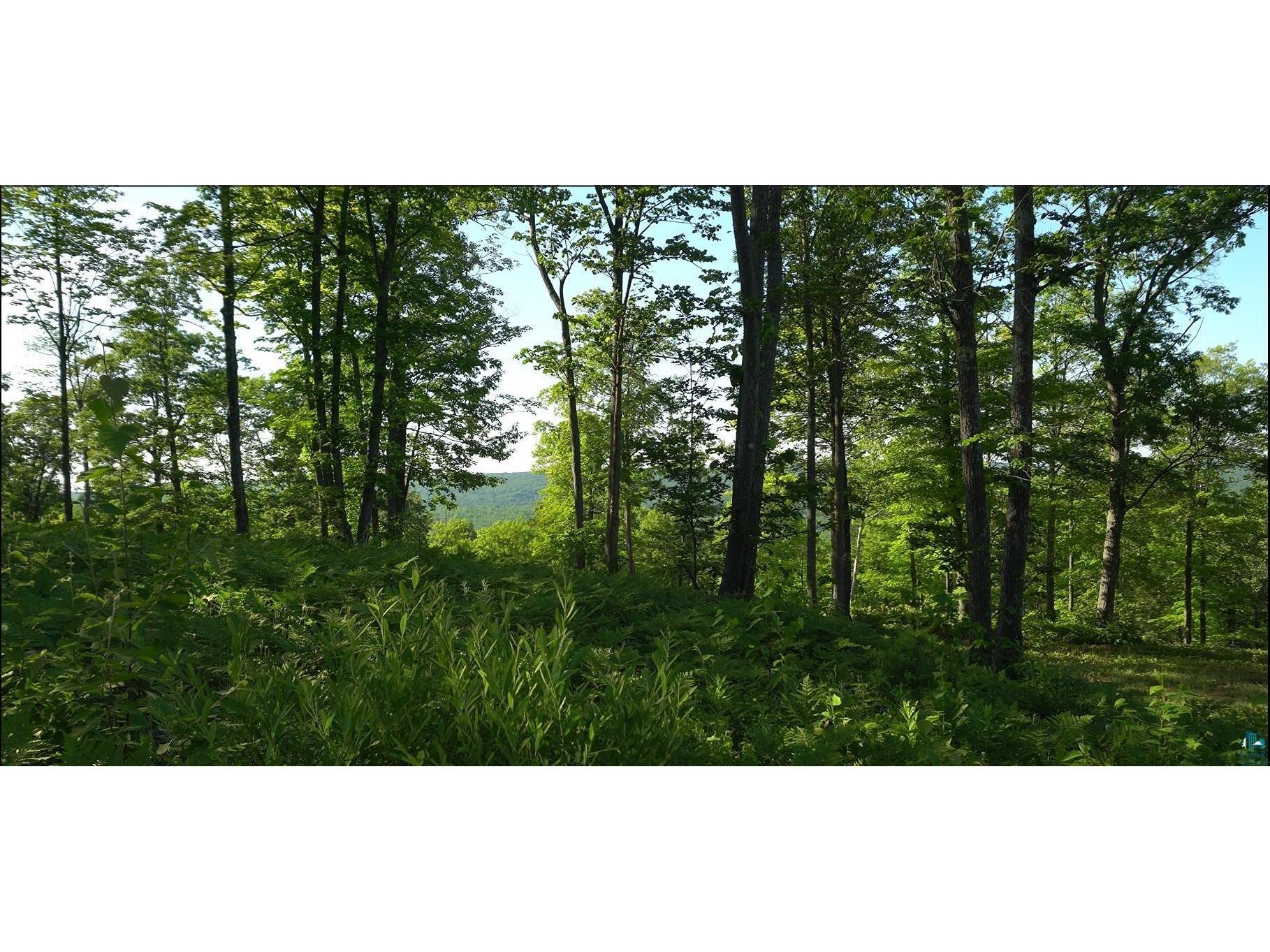 83xxx Ashwabay Heights Rd Bayfield WI 54814 6125071 image9