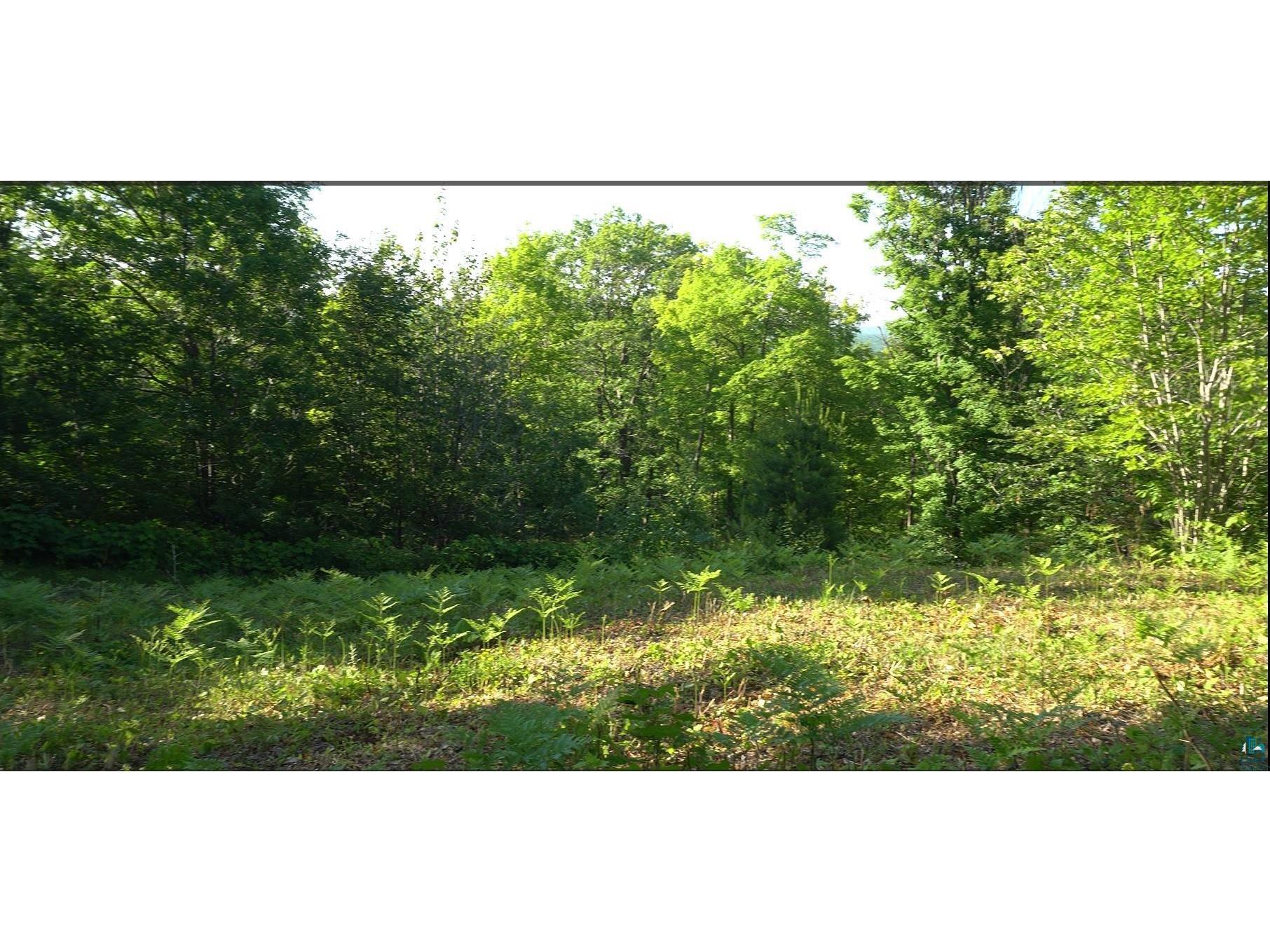 83xxx Ashwabay Heights Rd Bayfield WI 54814 6125072 image2