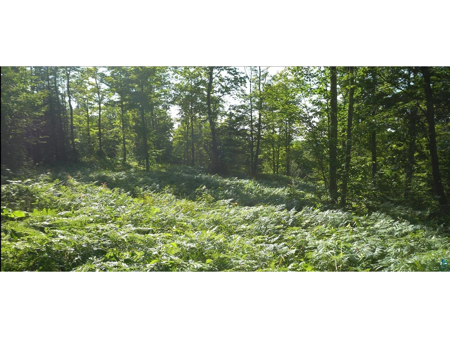 83xxx Ashwabay Heights Rd Bayfield WI 54814 6125086 image1