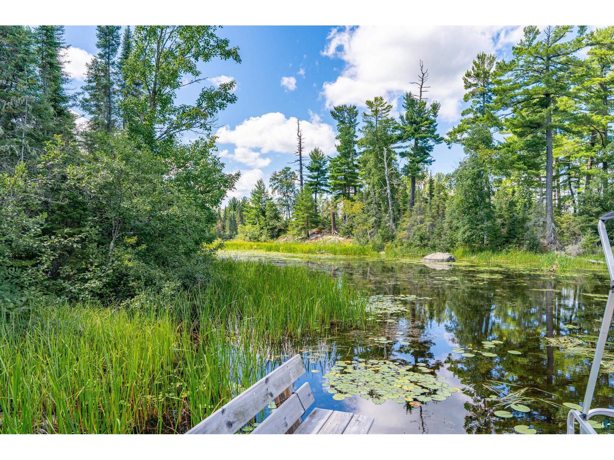 8431 Timber Bay Rd Babbitt MN 55706 - Birch 6124280 image29