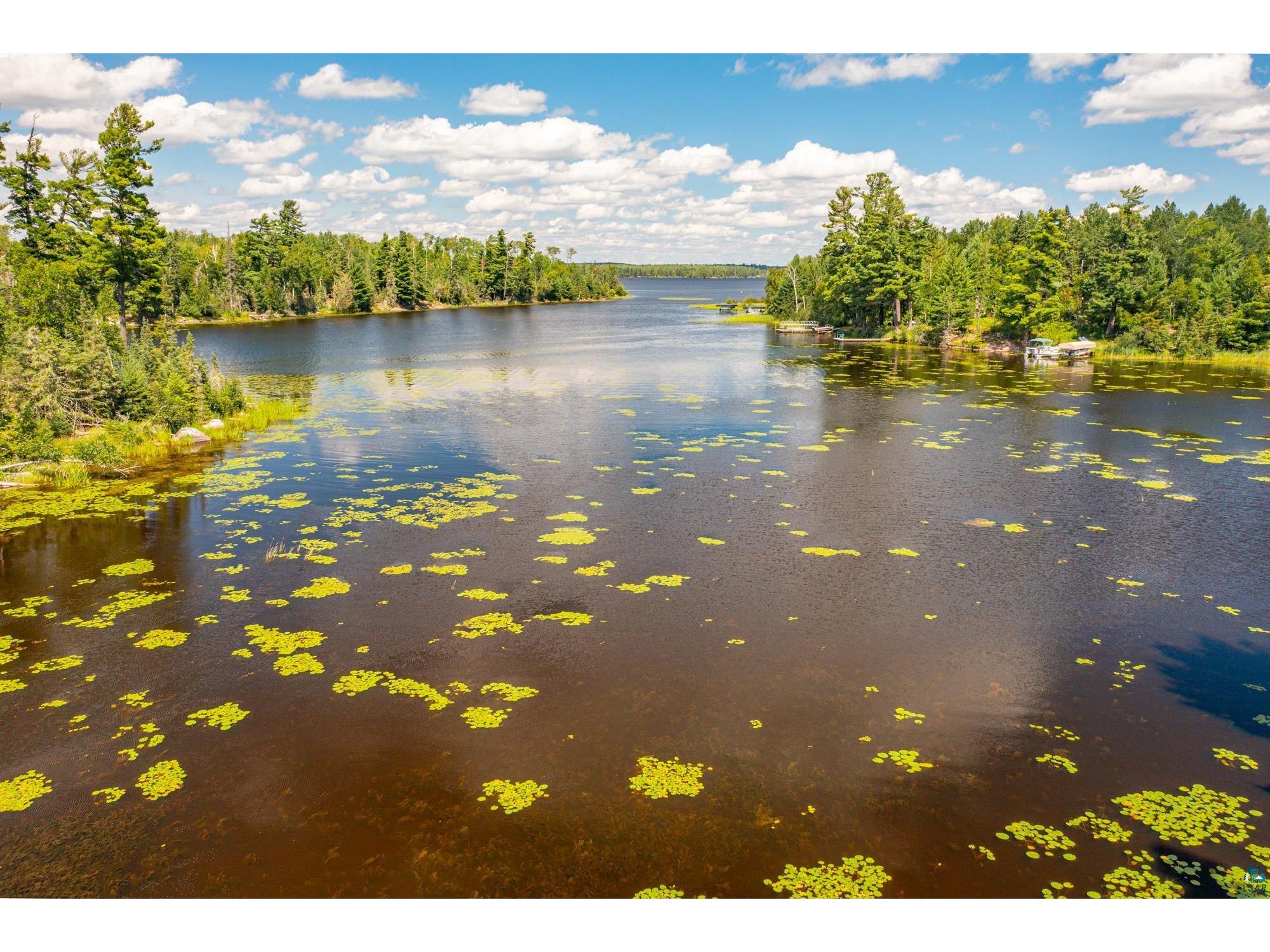 8431 Timber Bay Rd Babbitt MN 55706 - Birch 6124280 image39