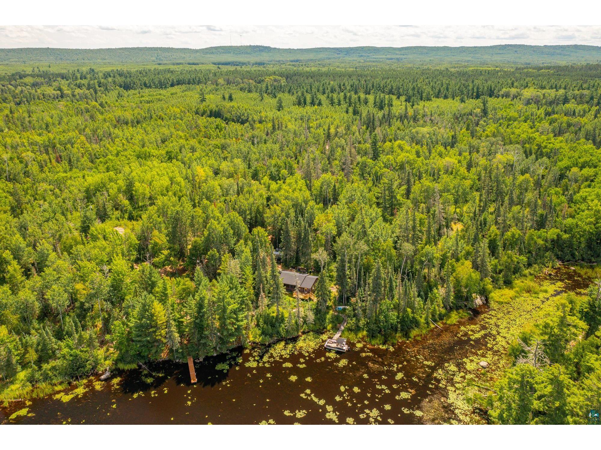 8431 Timber Bay Rd Babbitt MN 55706 - Birch 6124280 image43