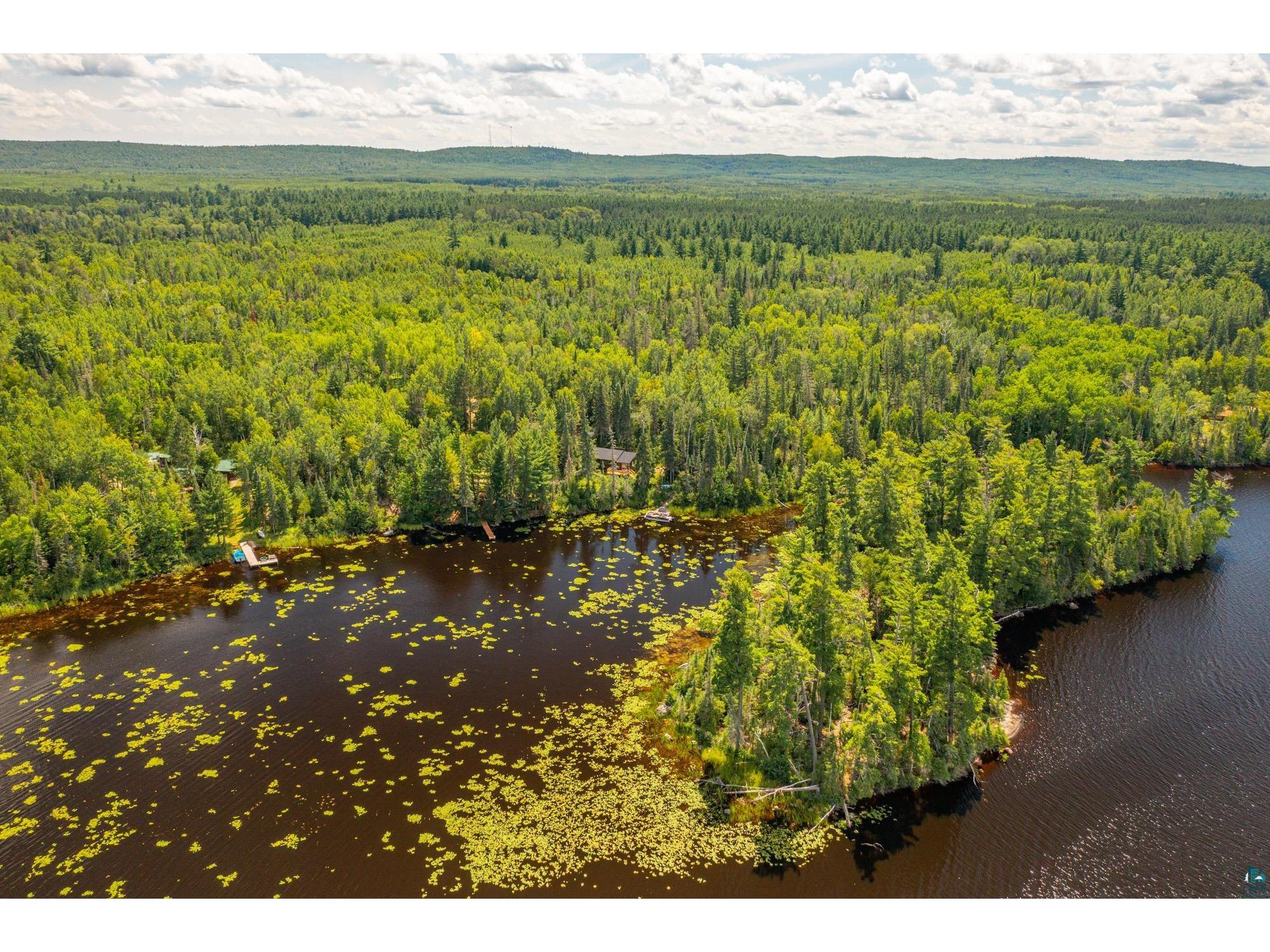 8431 Timber Bay Rd Babbitt MN 55706 - Birch 6124280 image44