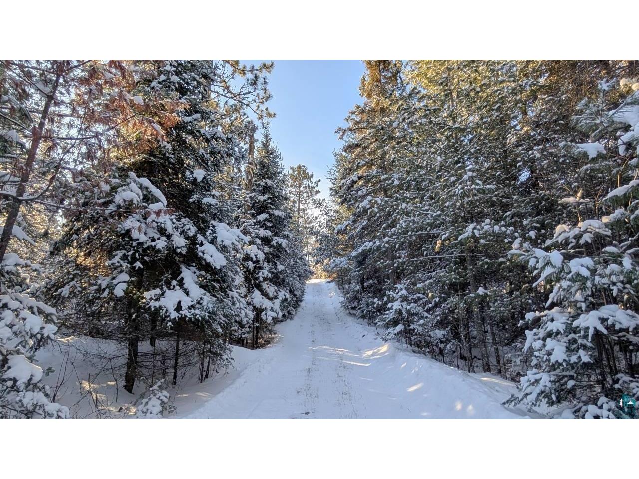 8442 Highway 24 Cook MN 55723 - Vermilion 6123381 image63