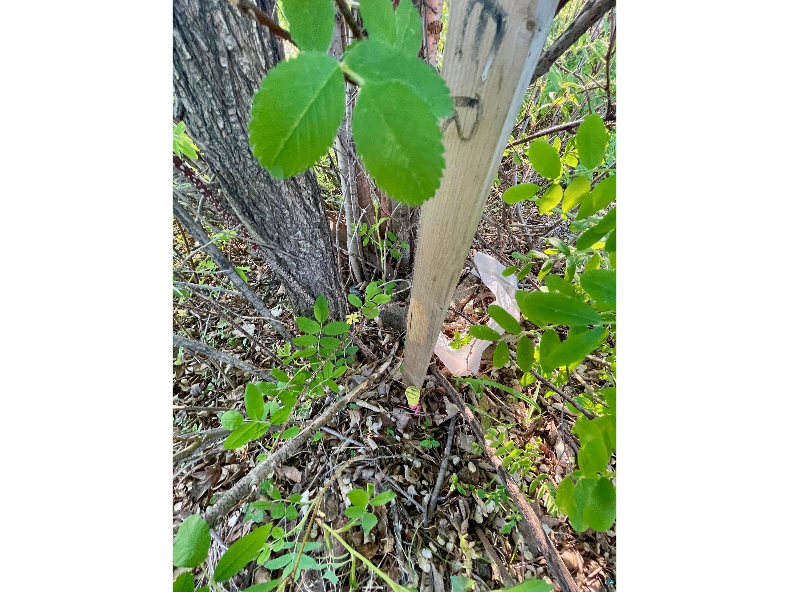 85 Arrowhead Ln Moose Lake MN 55767 6119828 image7