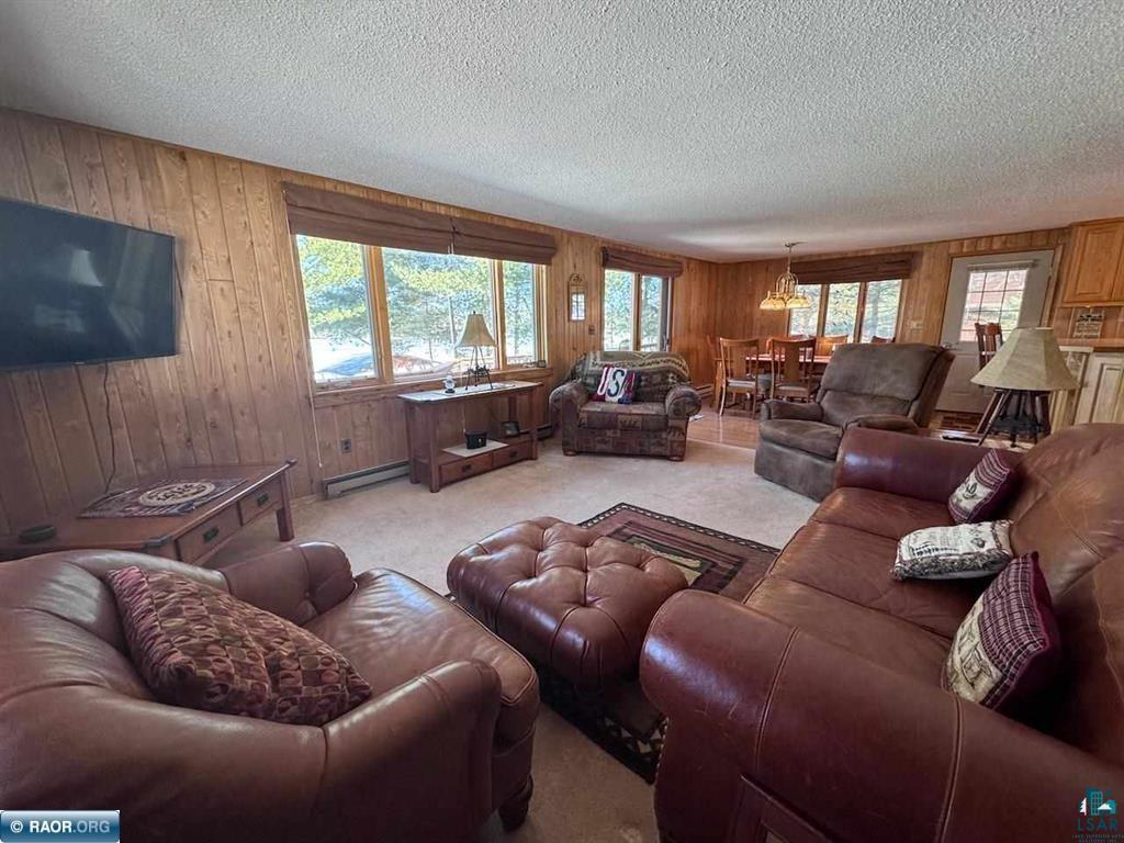 8519 Peterson Rd Cook MN 55723 - Vermilion 6124227 image19