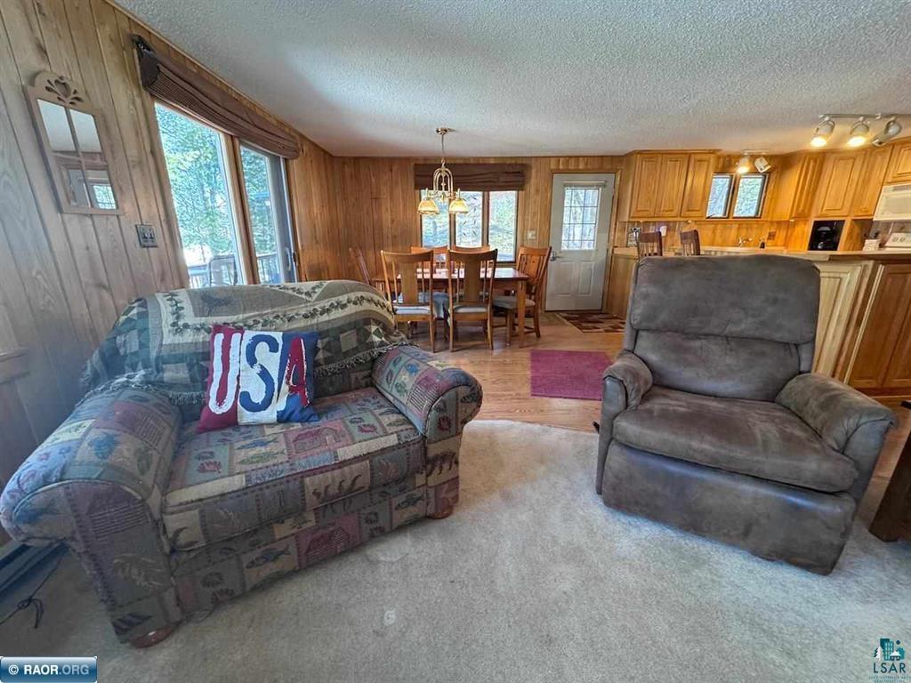 8519 Peterson Rd Cook MN 55723 - Vermilion 6124227 image20