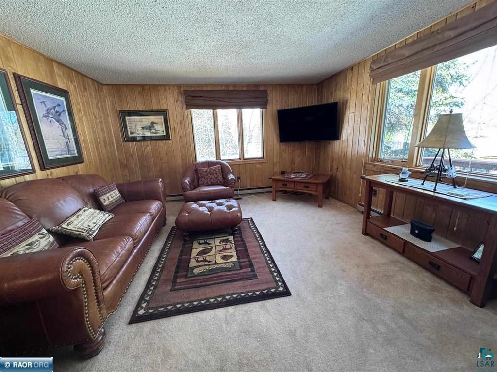 8519 Peterson Rd Cook MN 55723 - Vermilion 6124227 image22