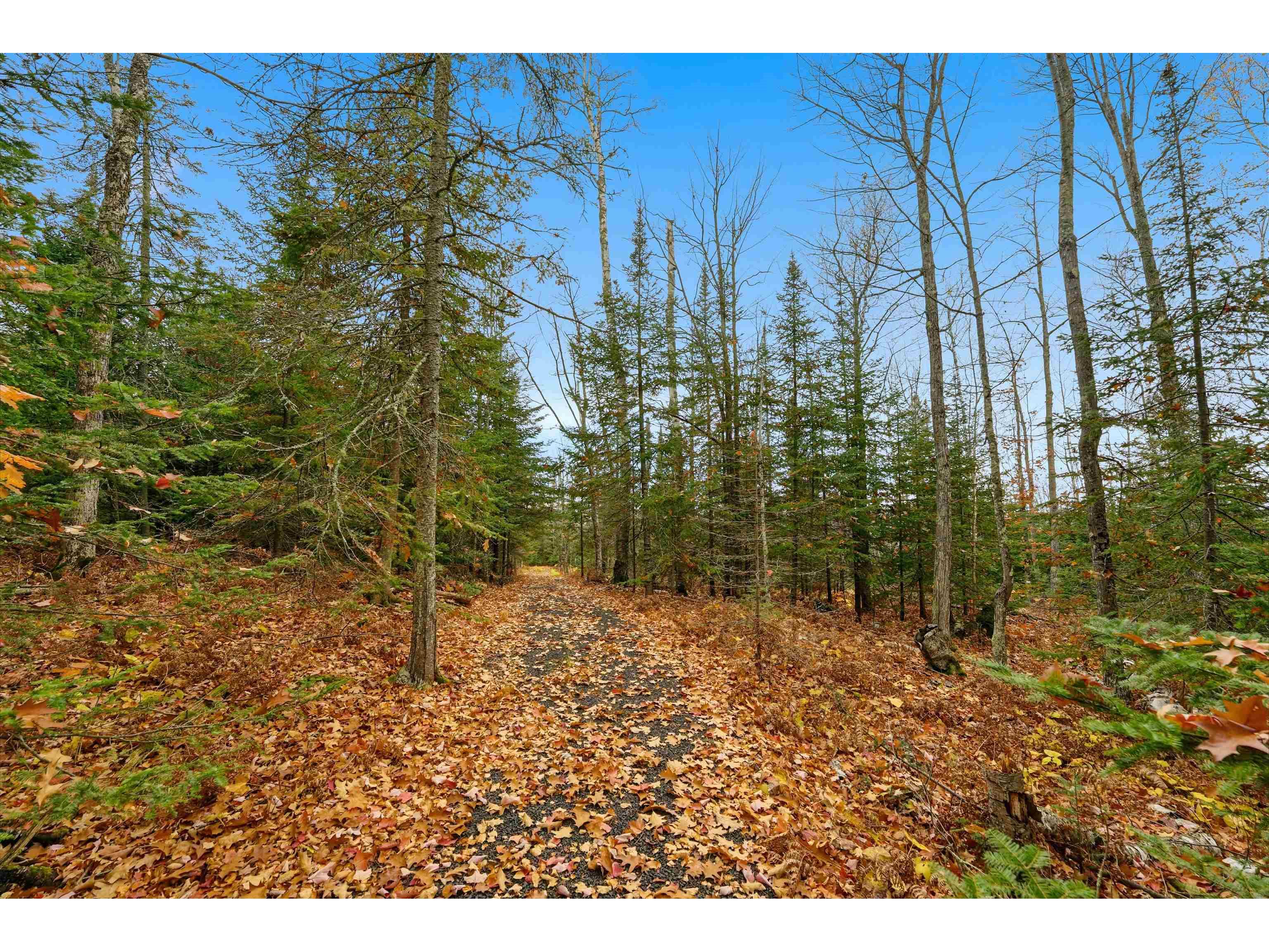 85255 Ravine Rd Port Wing WI 54865 6122751 image28