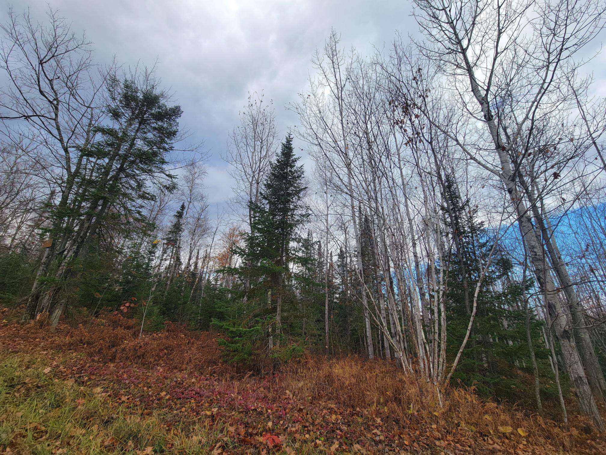 85255 Ravine Rd Port Wing WI 54865 6122751 image30