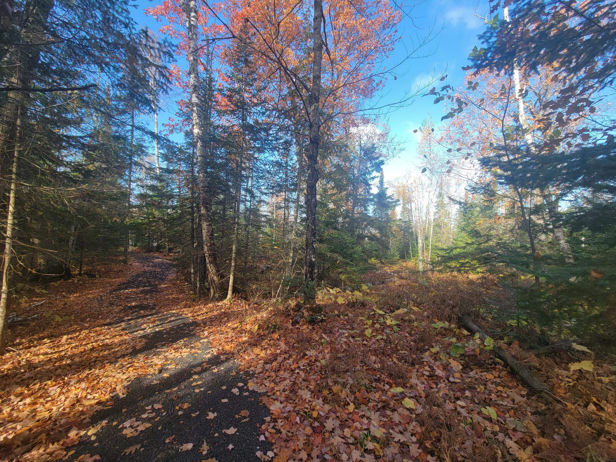 85255 Ravine Rd Port Wing WI 54865 6122751 image33