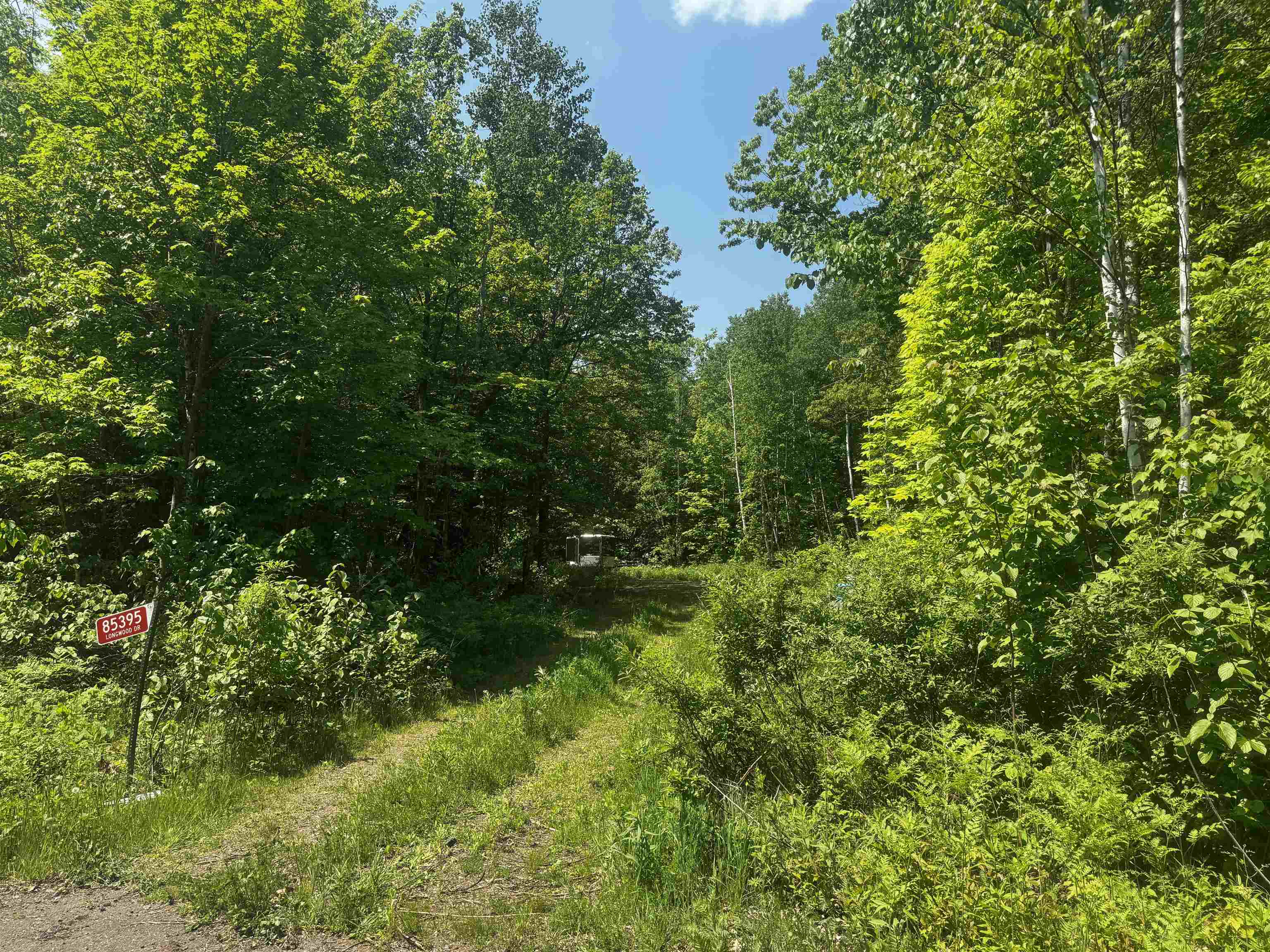 85395 Longwood Dr Bayfield WI 54814 6119923 image1