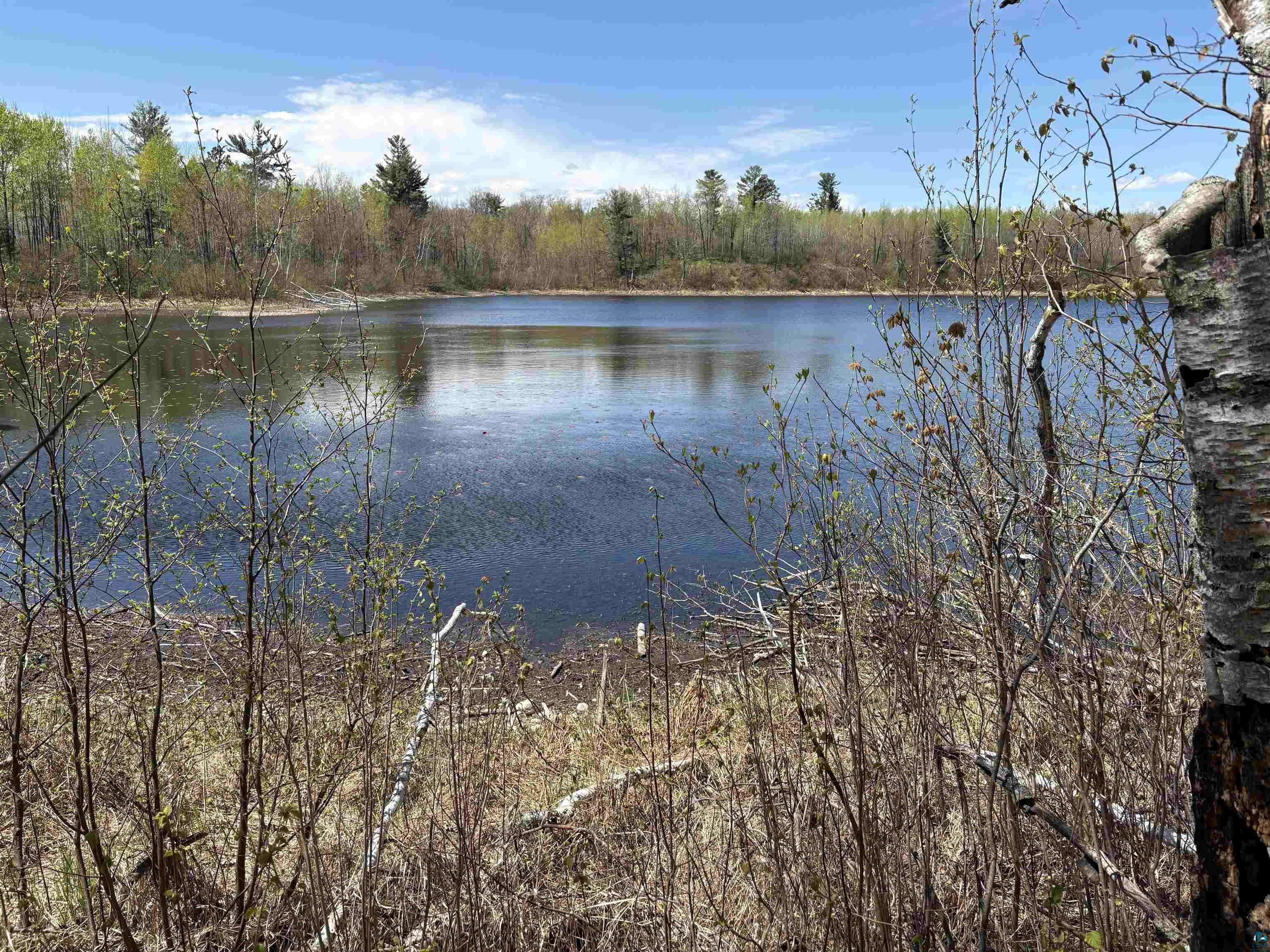 854x W Chub Lake Rd Carlton MN 55718 6125466 image1