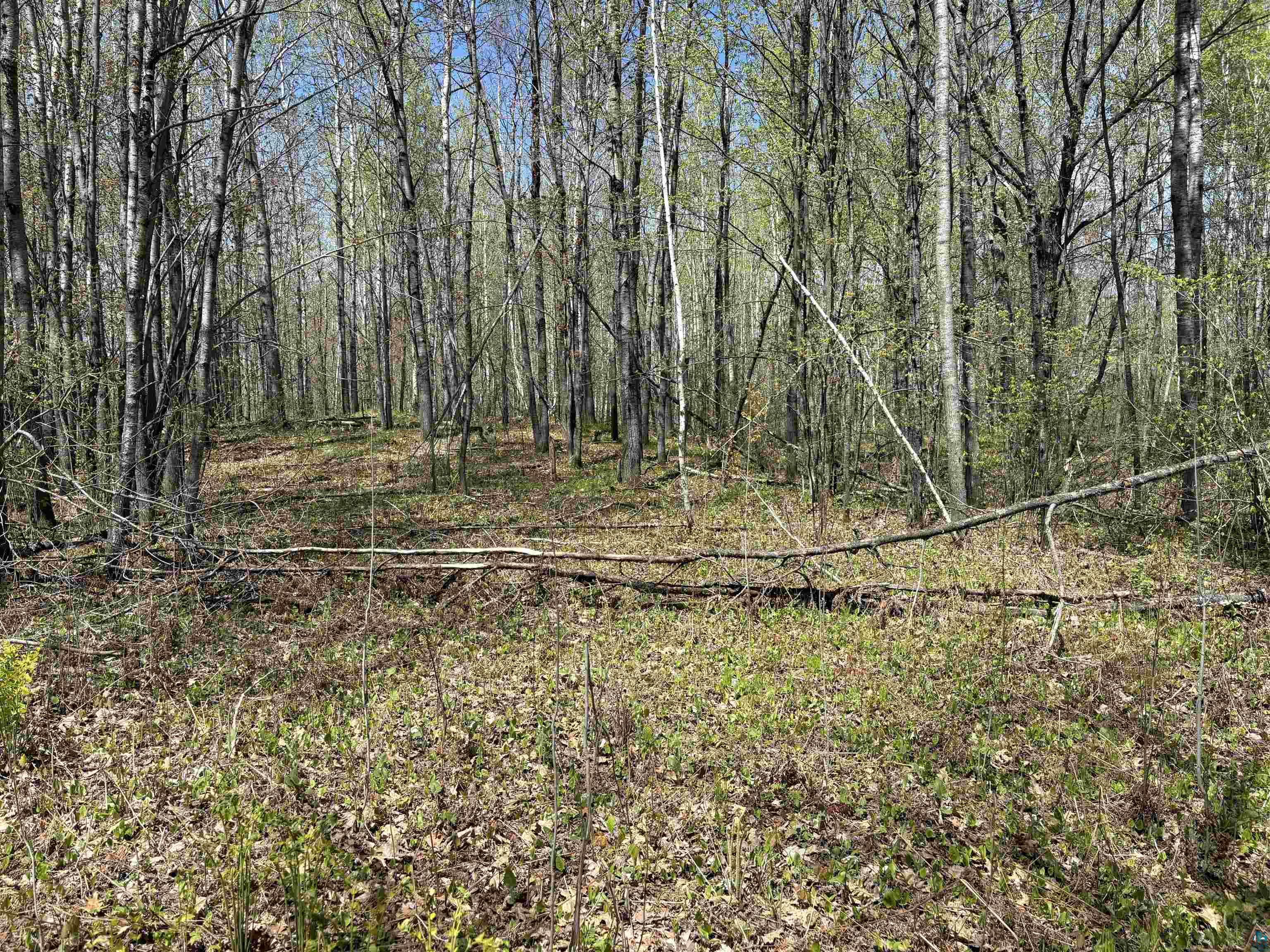 854x W Chub Lake Rd Carlton MN 55718 6125466 image6