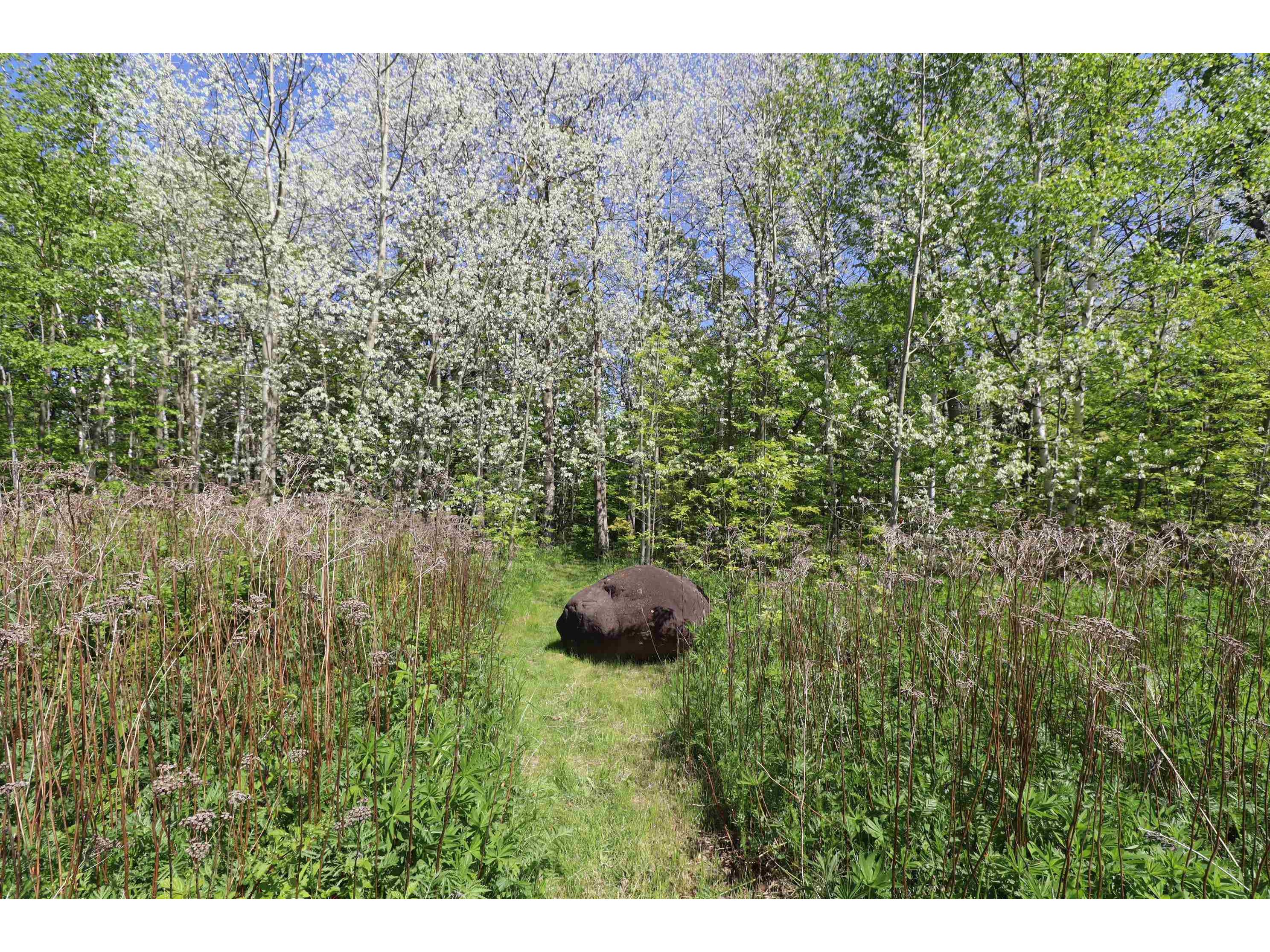 Lot 38 Eagle Run Bayfield WI 54814 6121231 image12