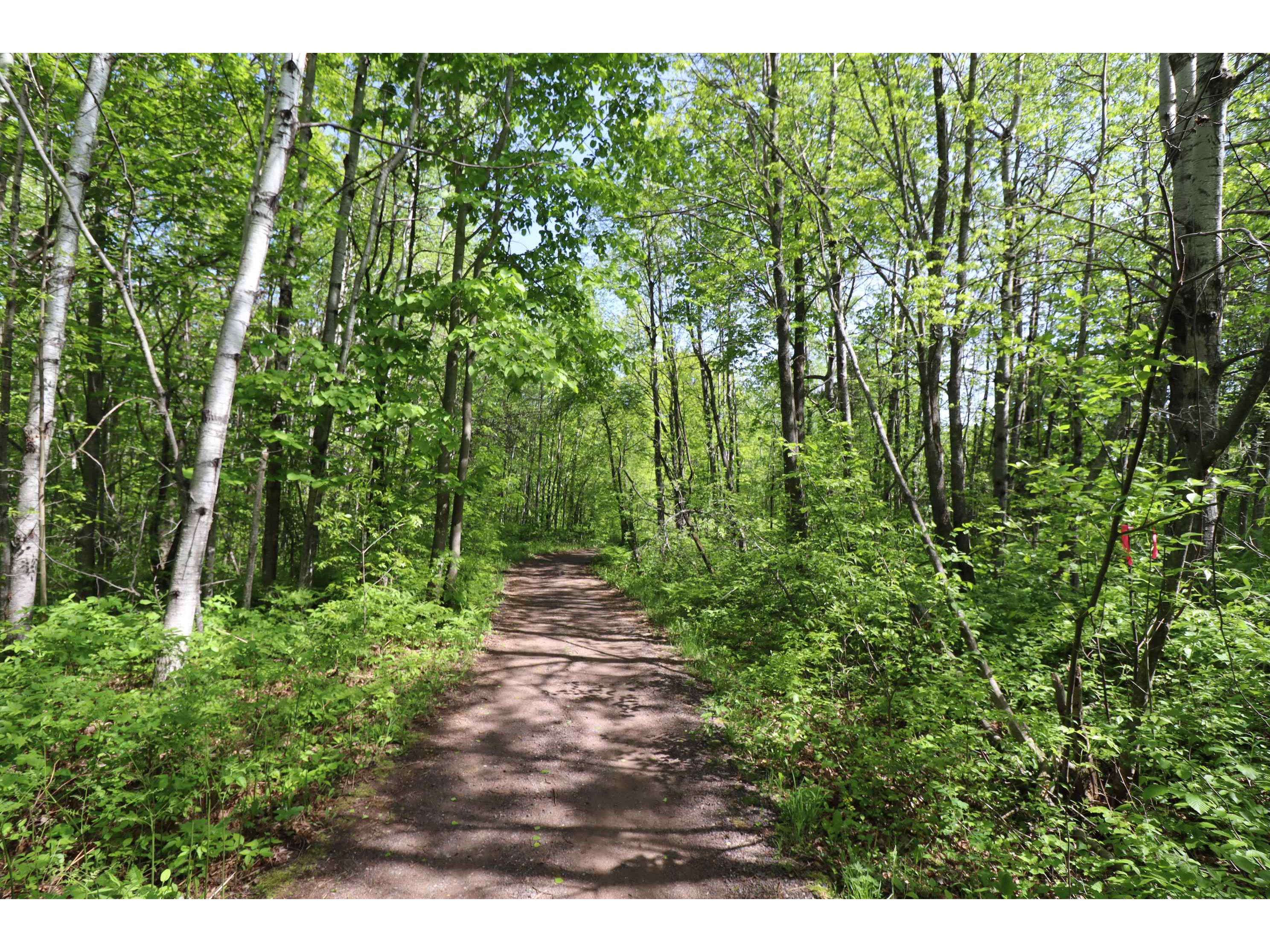 Lot 38 Eagle Run Bayfield WI 54814 6121231 image27