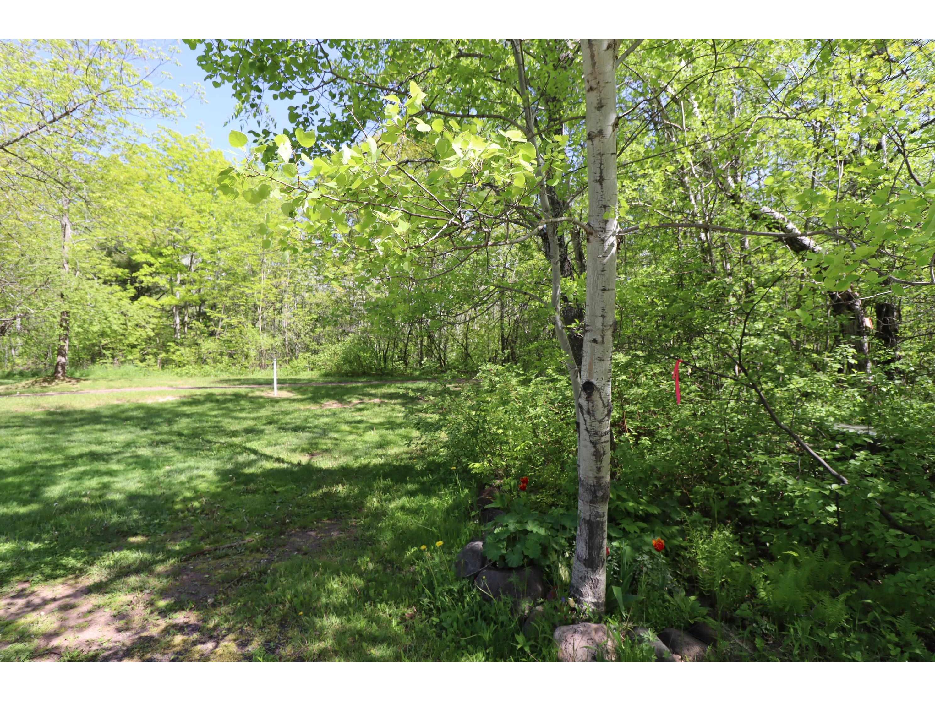 Lot 38 Eagle Run Bayfield WI 54814 6121231 image8