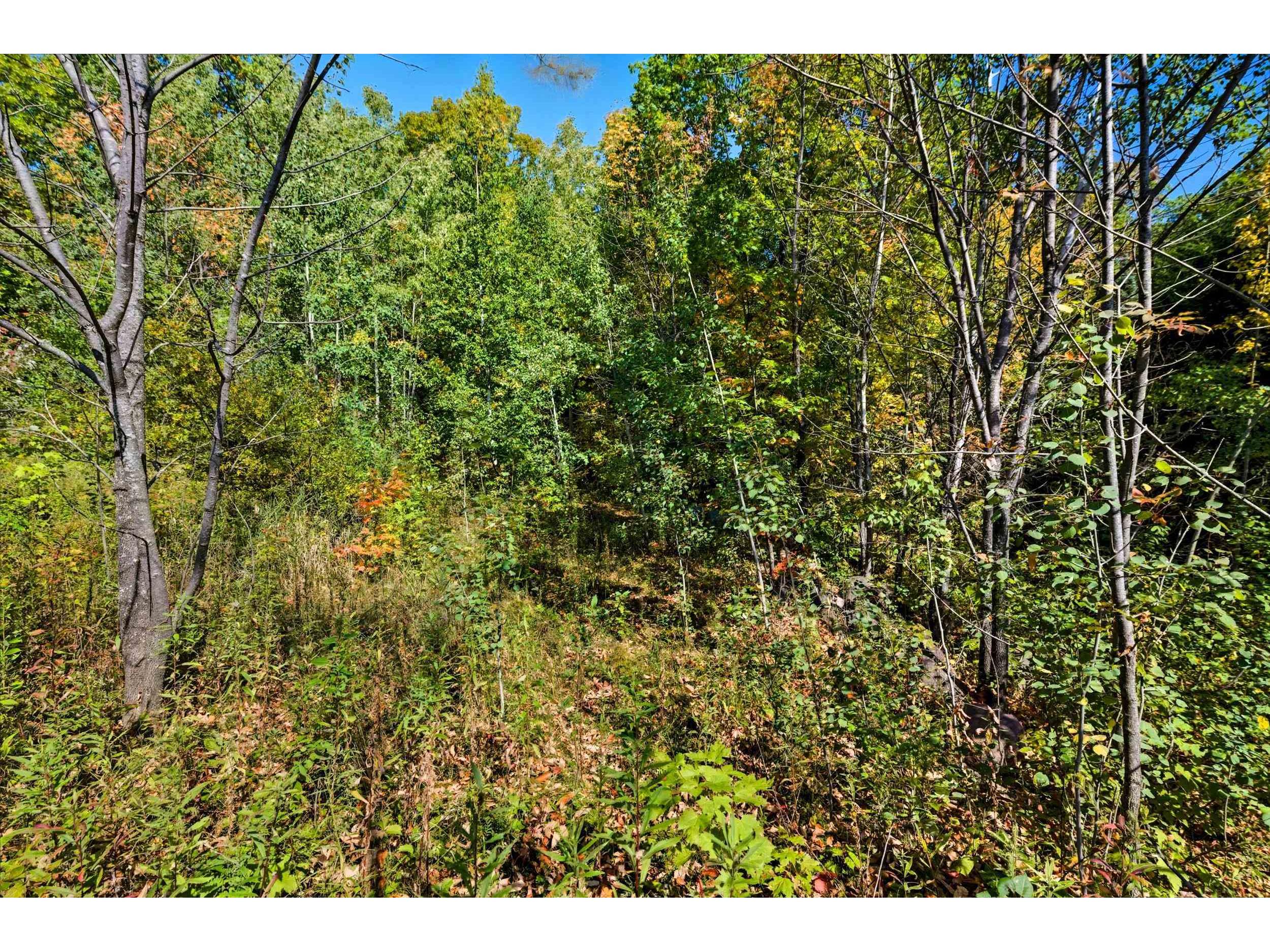 85XXX Apple Hill Rd Bayfield WI 54814 6122323 image16