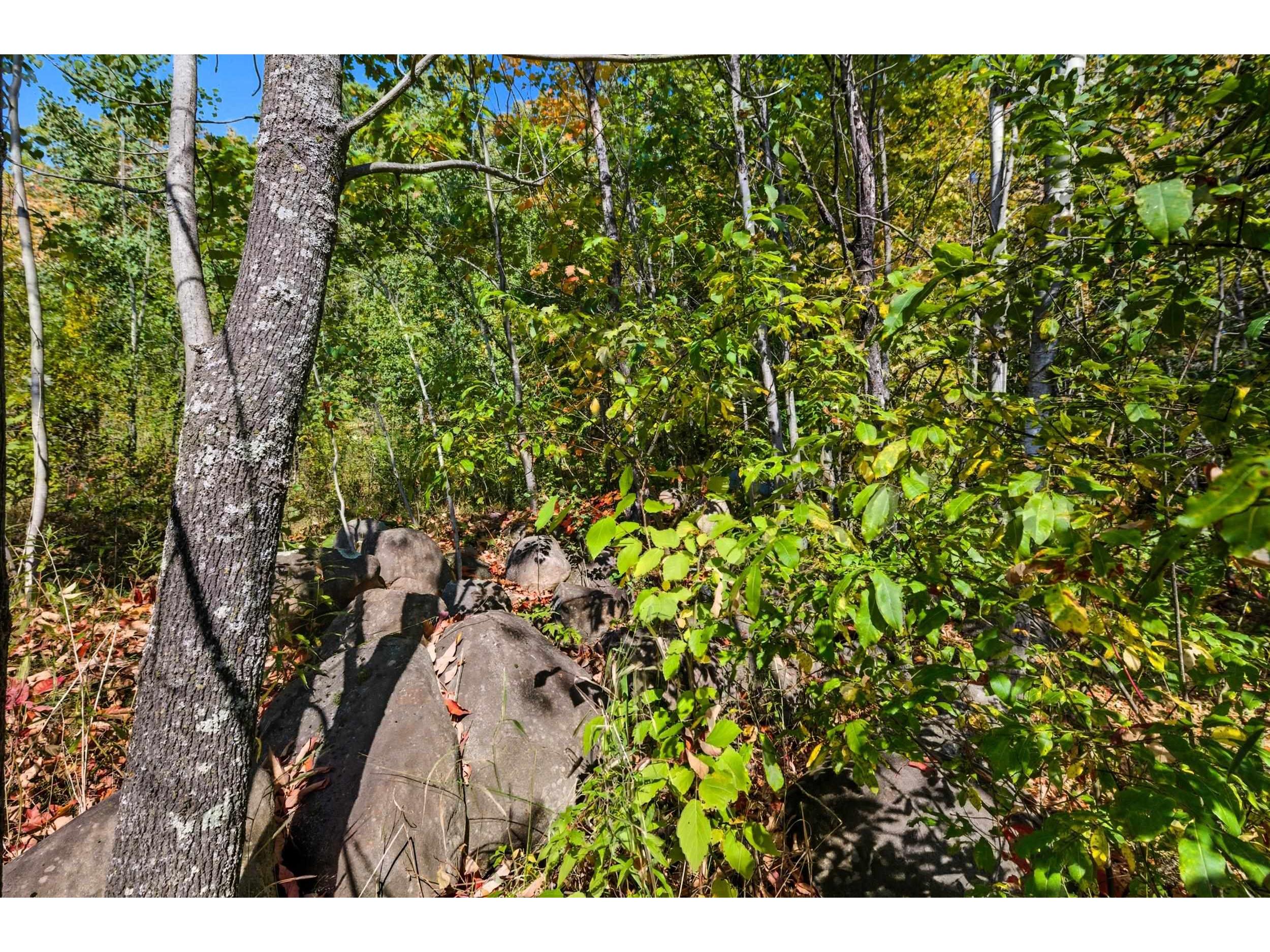 85XXX Apple Hill Rd Bayfield WI 54814 6122323 image18