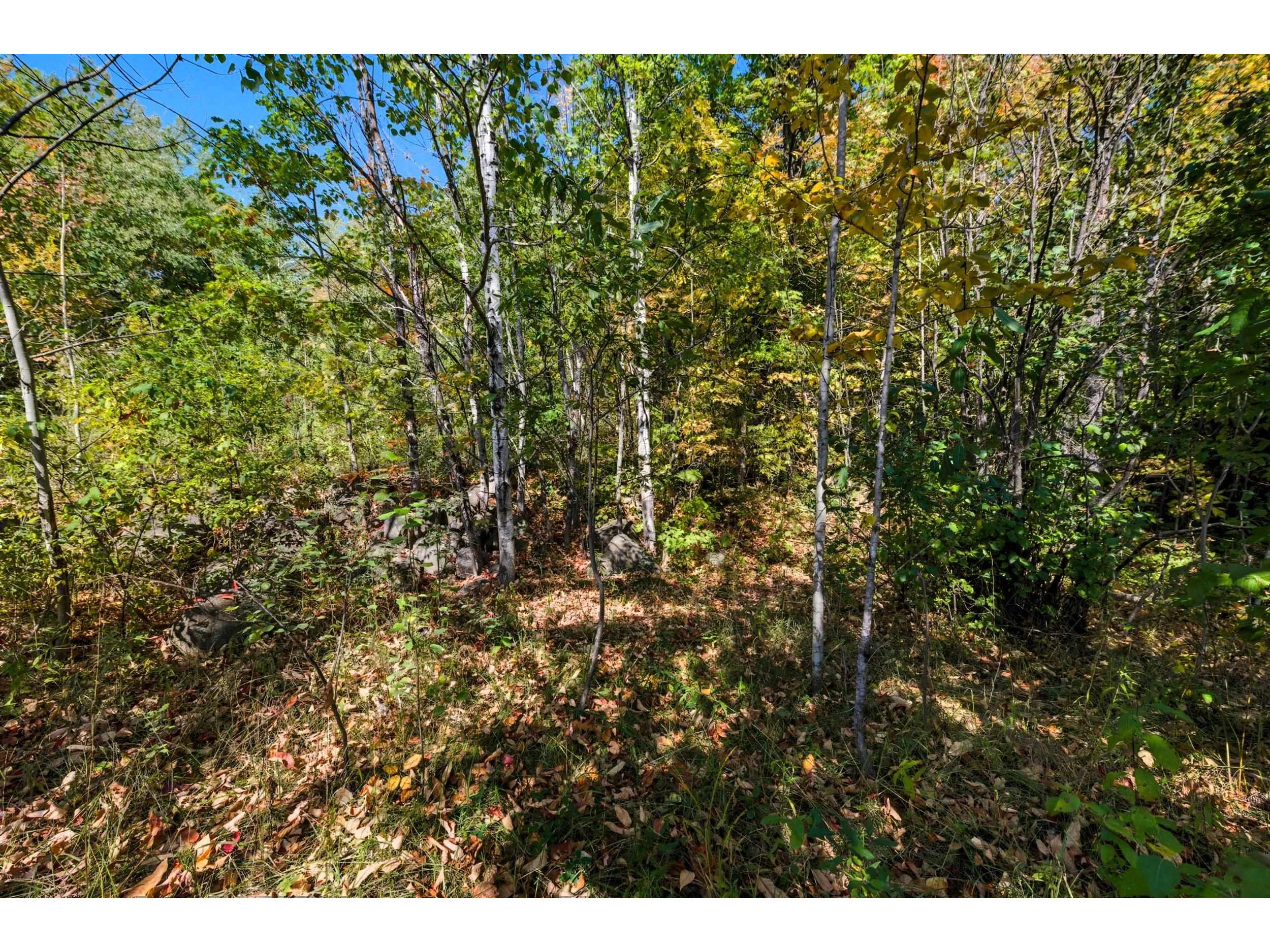 85XXX Apple Hill Rd Bayfield WI 54814 6122323 image19