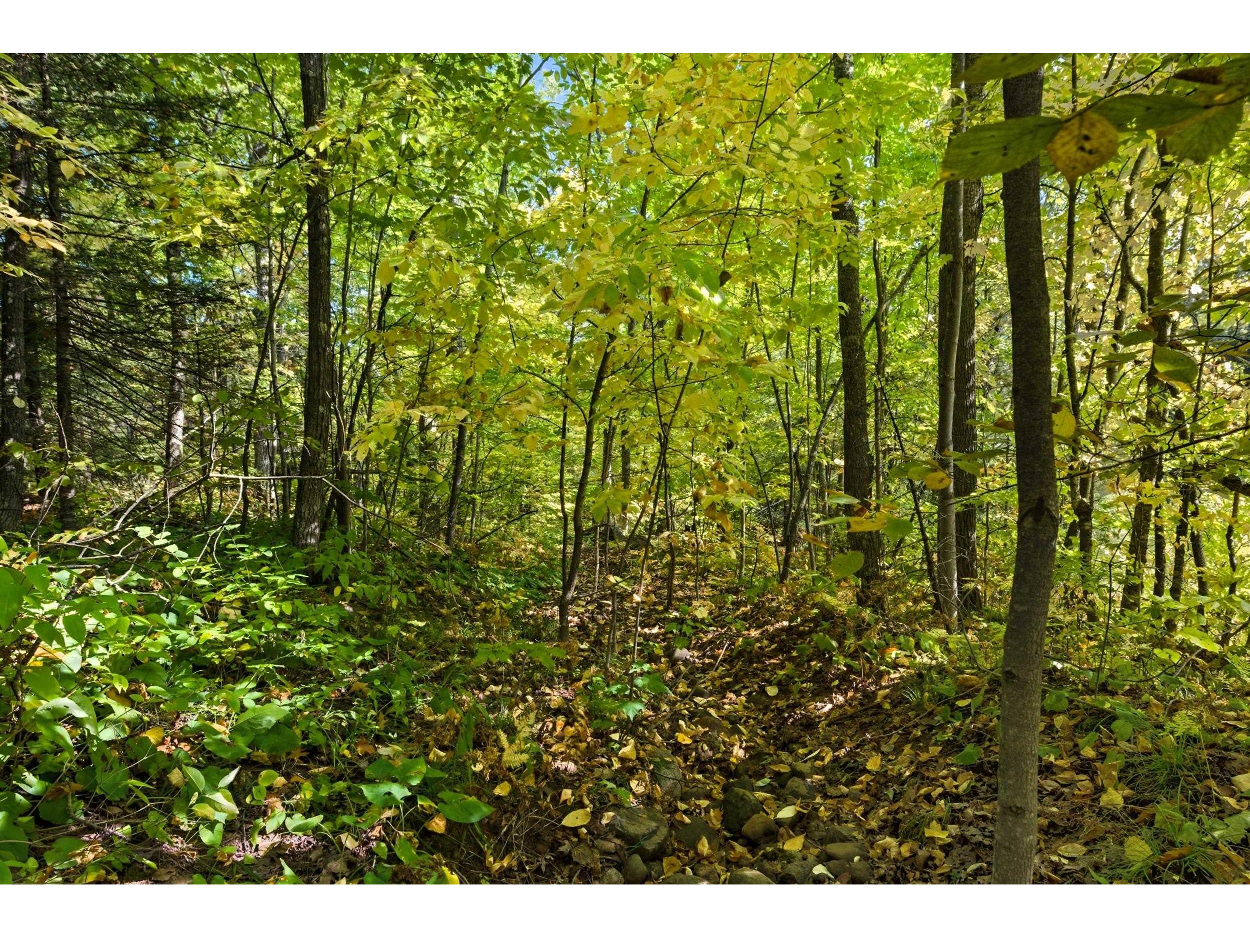 85XXX Apple Hill Rd Bayfield WI 54814 6122323 image21