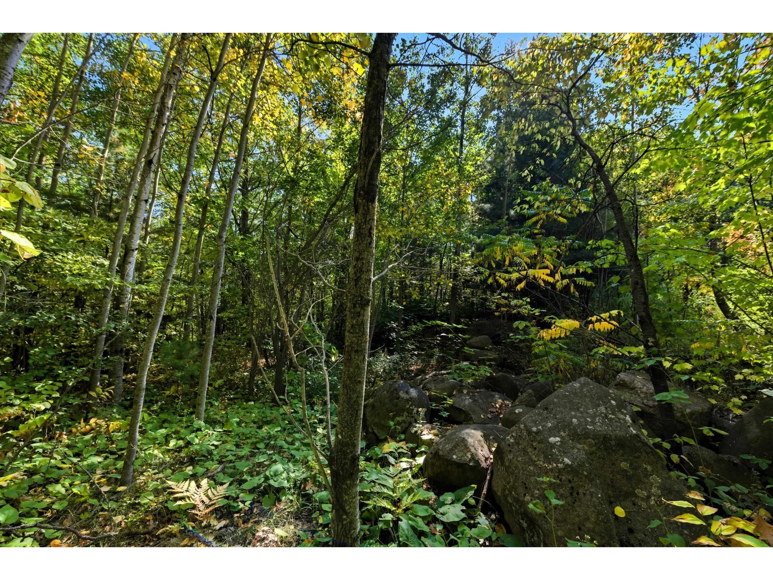 85XXX Apple Hill Rd Bayfield WI 54814 6122323 image22