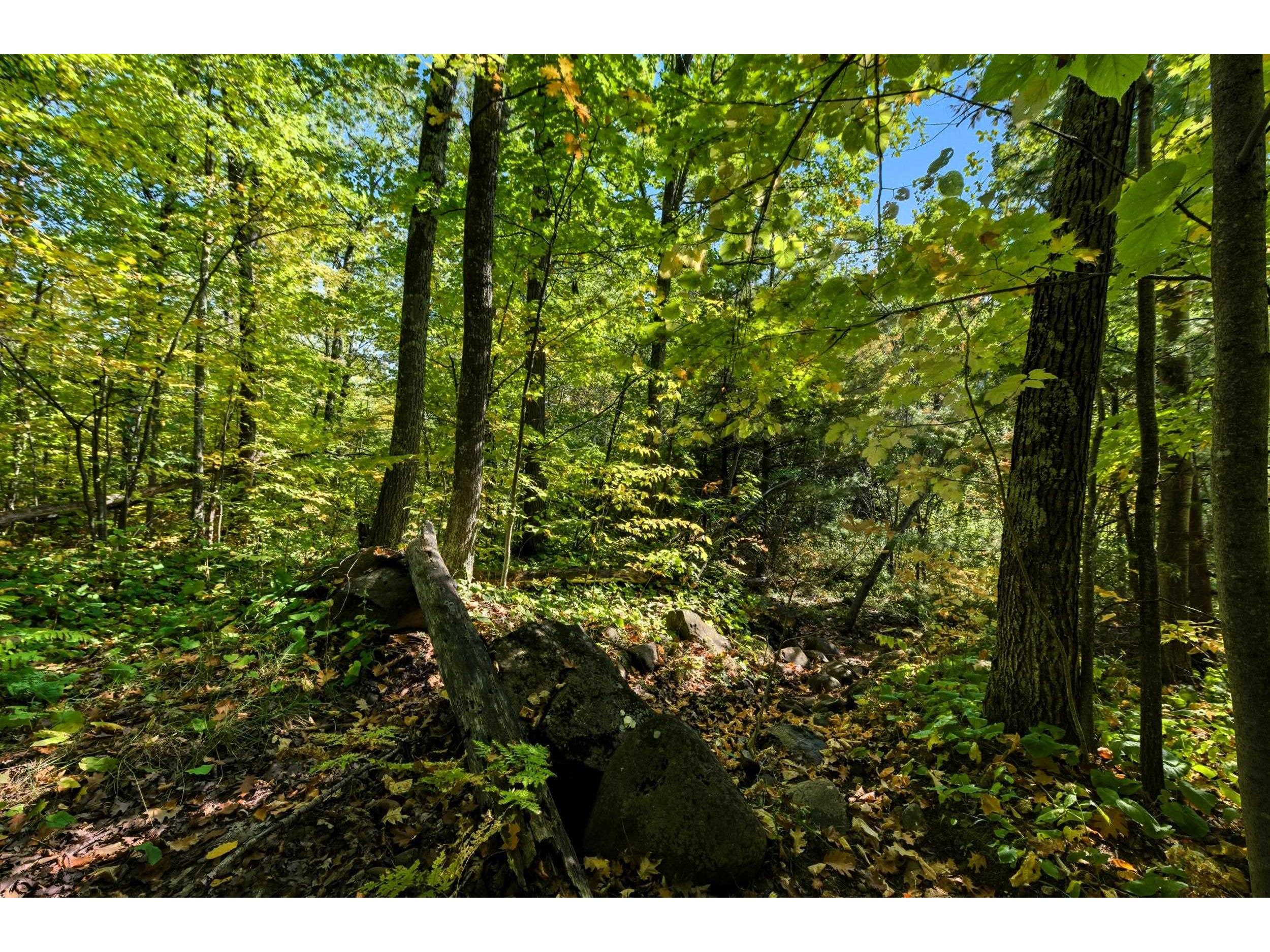 85XXX Apple Hill Rd Bayfield WI 54814 6122323 image23