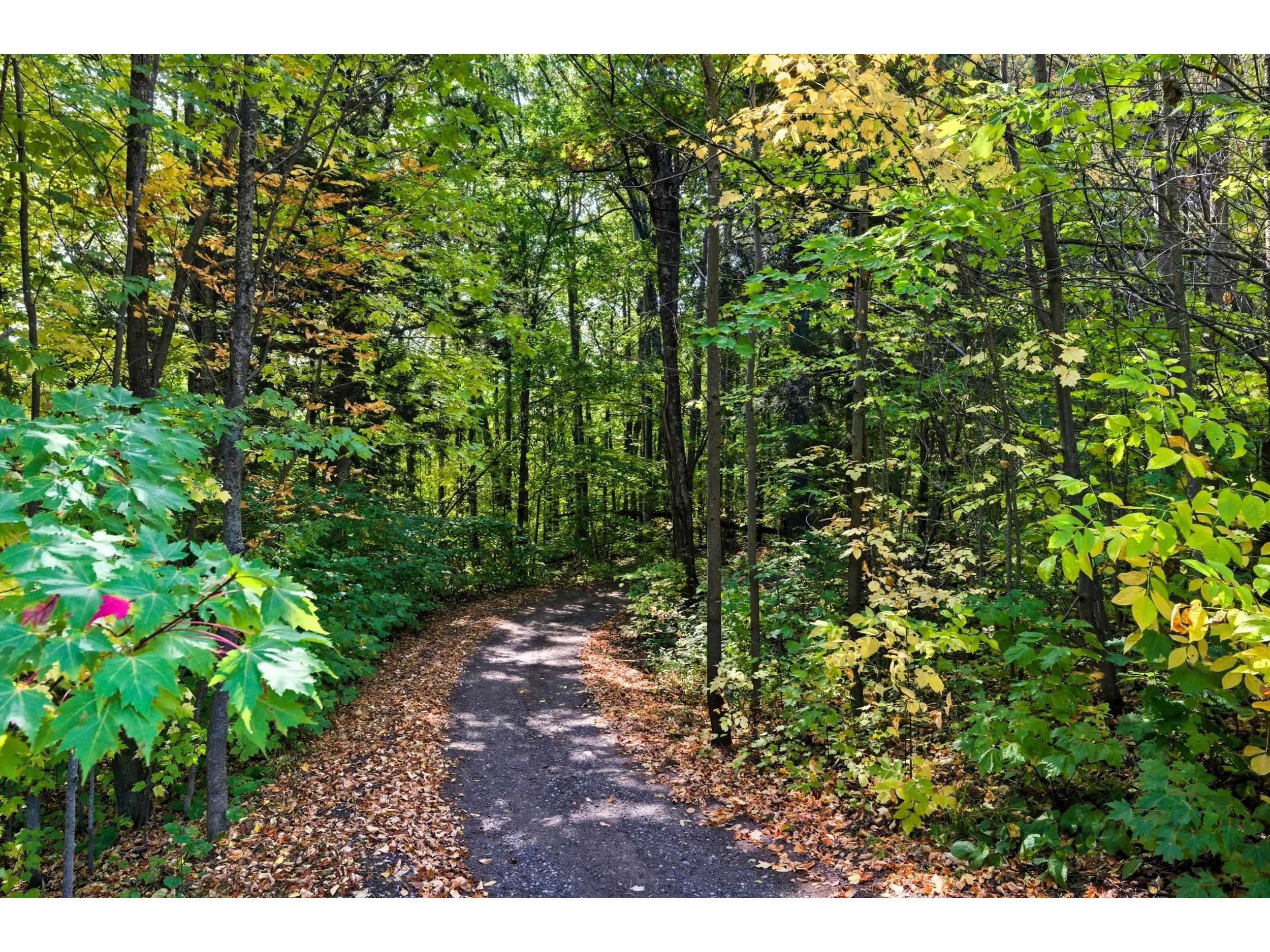 85XXX Apple Hill Rd Bayfield WI 54814 6122323 image5