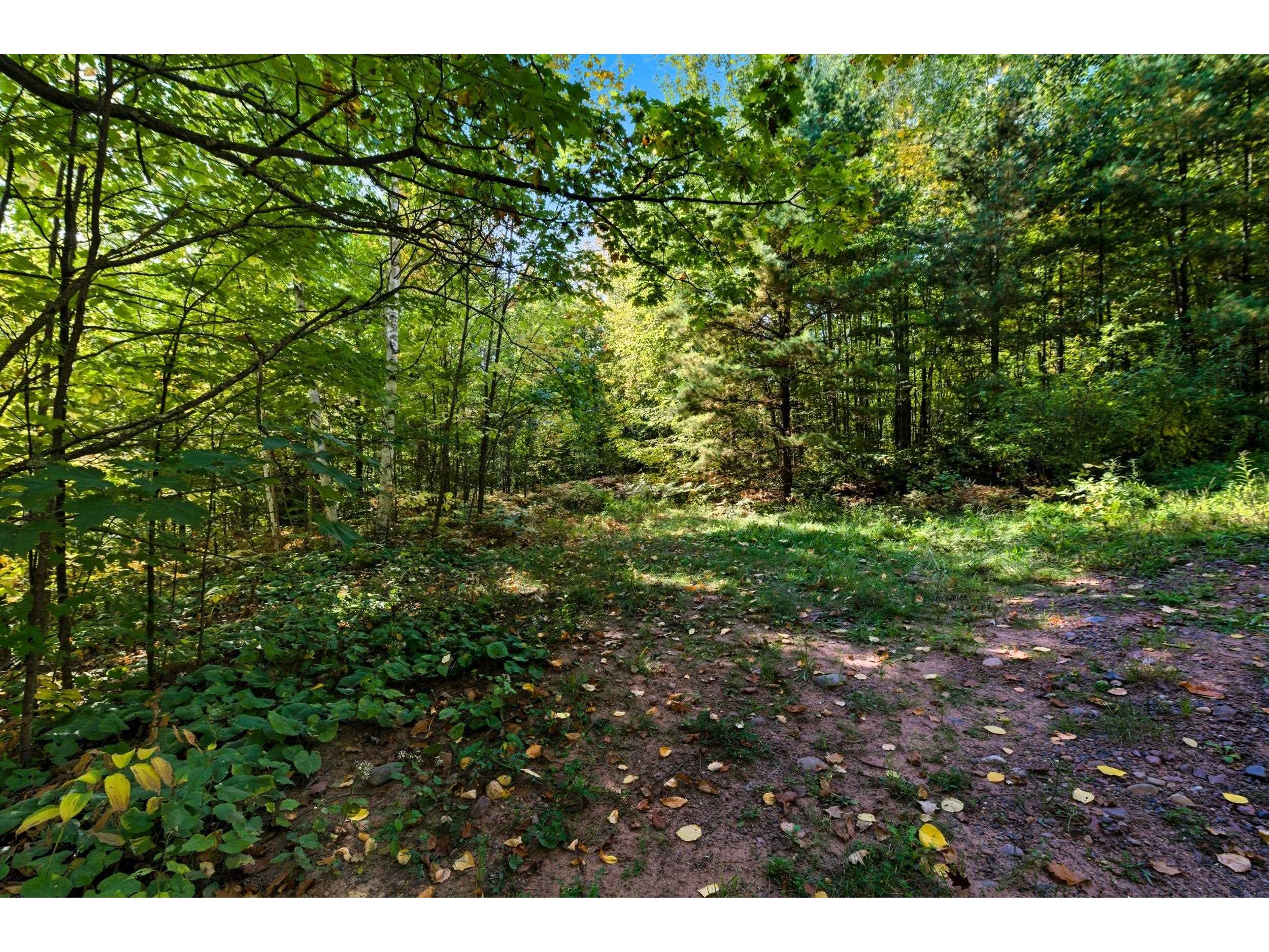 85XXX Apple Hill Rd Bayfield WI 54814 6122323 image6