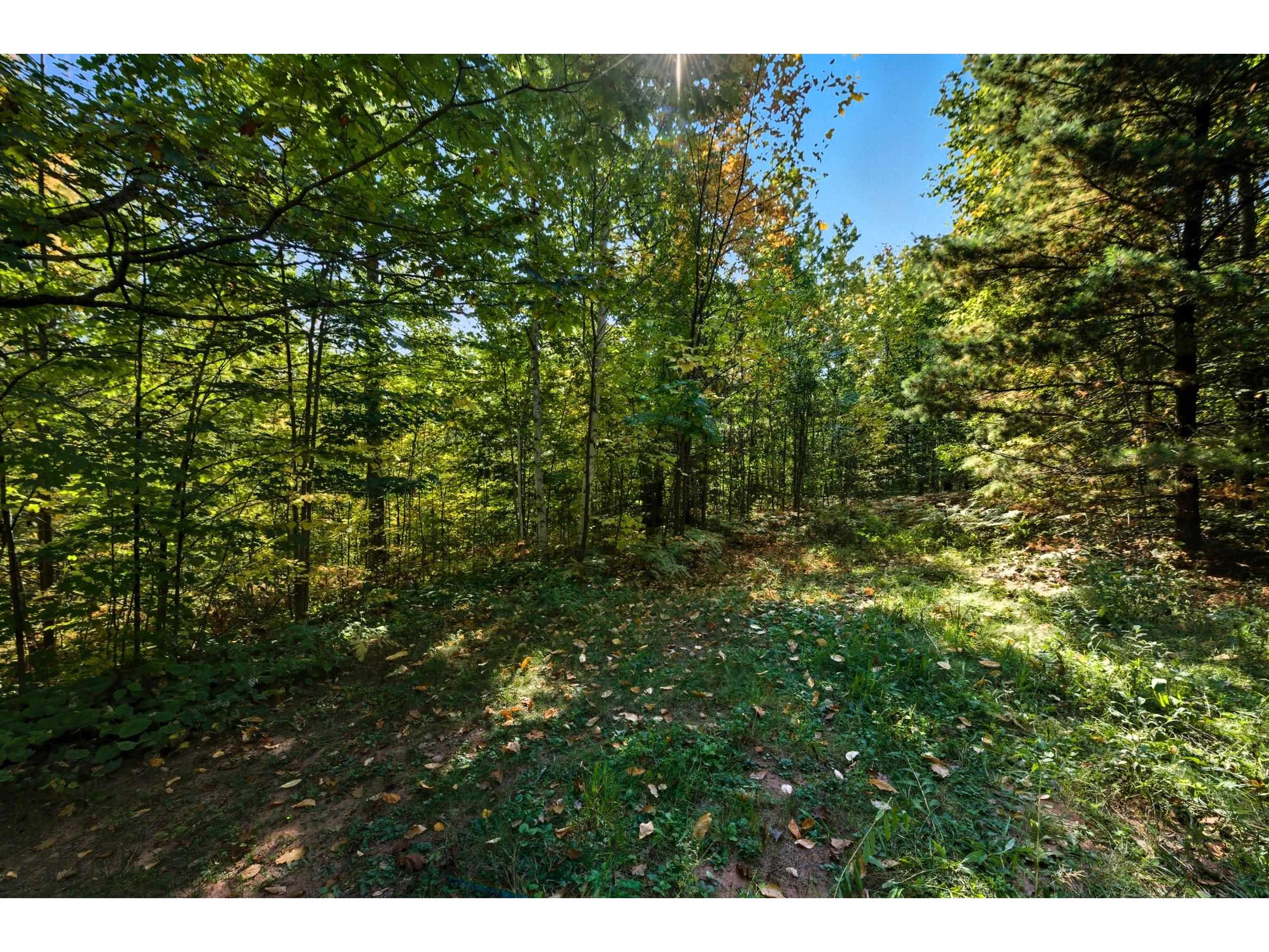 85XXX Apple Hill Rd Bayfield WI 54814 6122323 image8