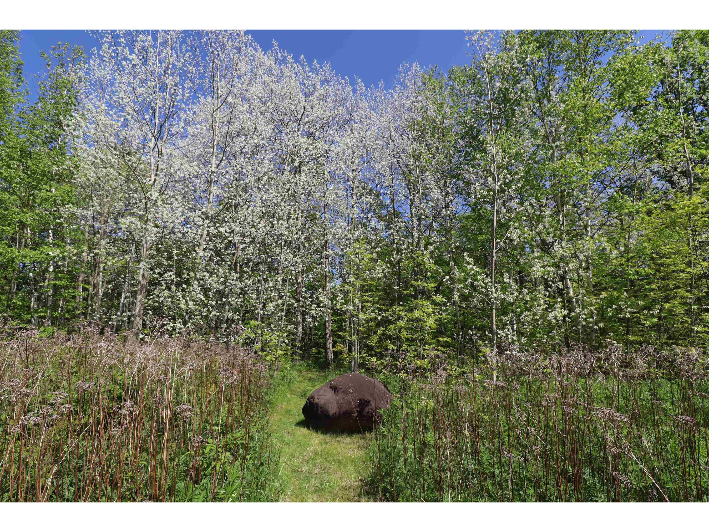 Lot 19 Eagle Run Bayfield WI 54814 6121217 image4