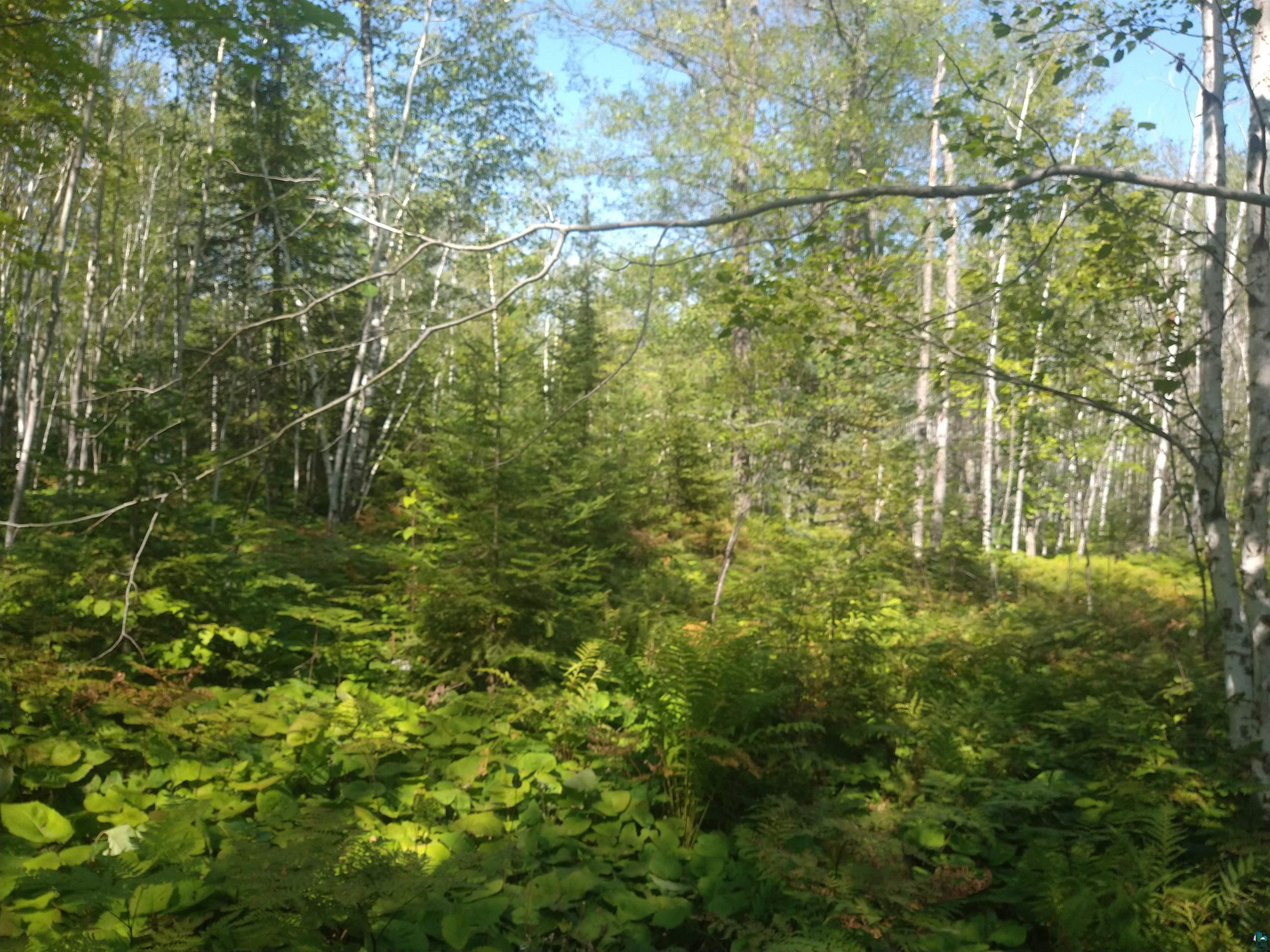 85XXX Fireplace Rd Port Wing WI 54865 6125276 image23