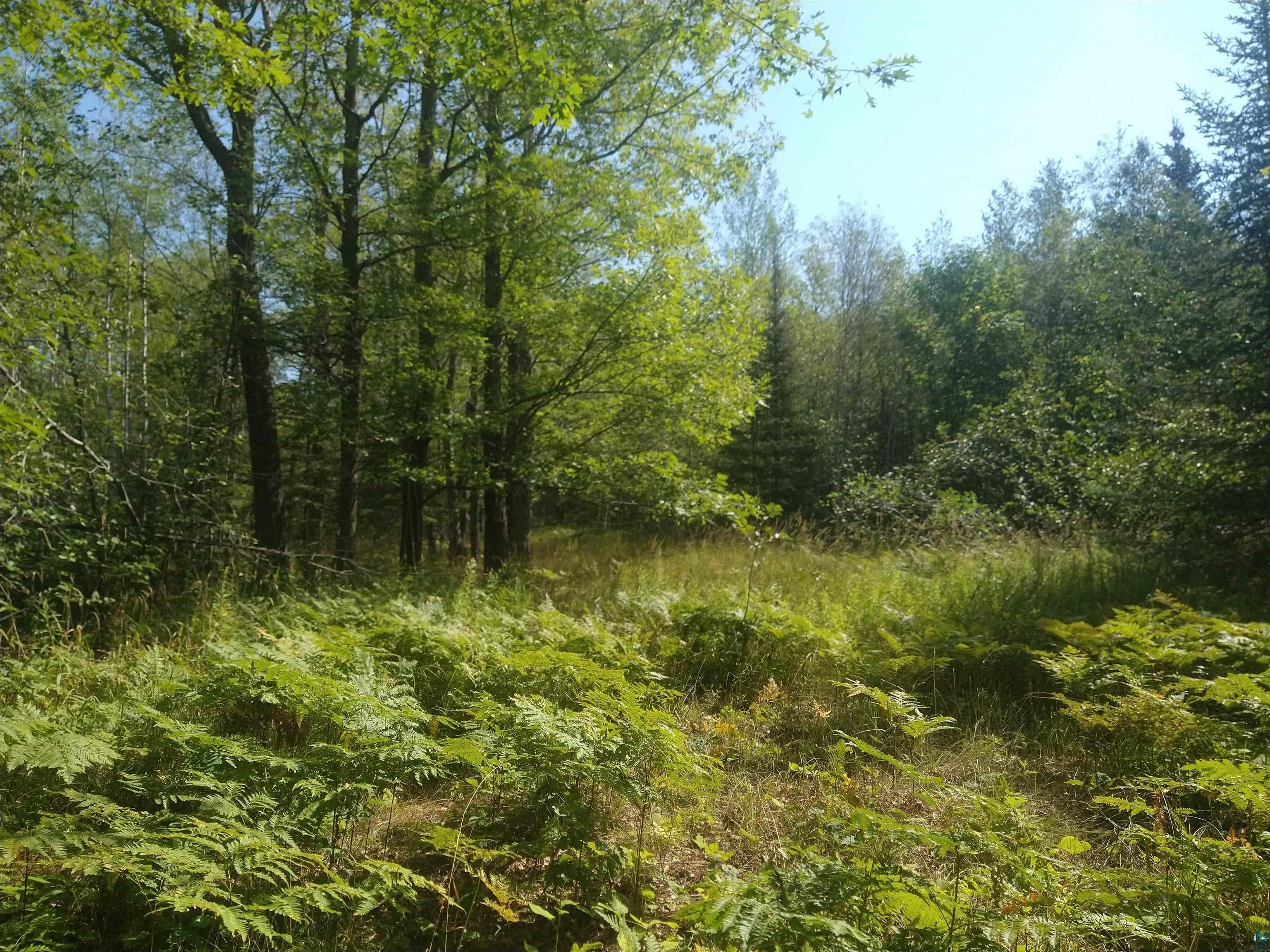 85XXX Fireplace Rd Port Wing WI 54865 6125276 image3
