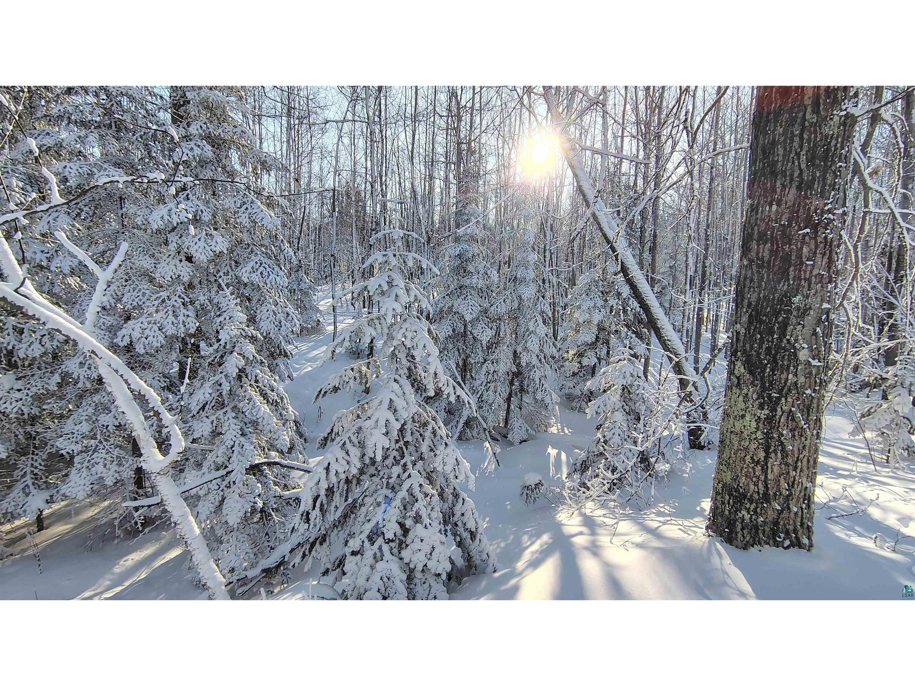 85XXX Fireplace Rd Port Wing WI 54865 6125276 image34
