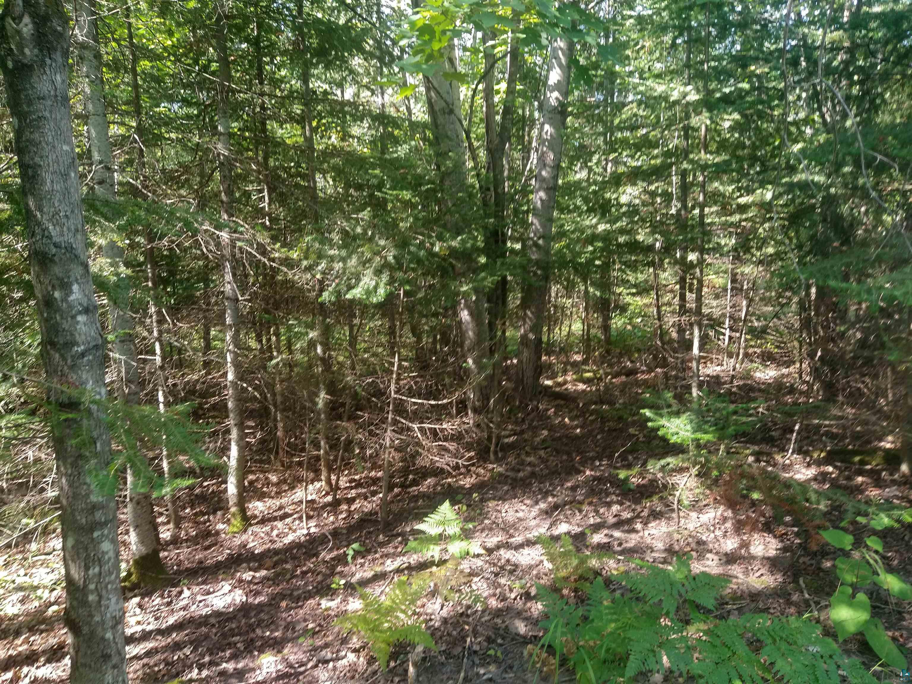 85XXX Fireplace Rd Port Wing WI 54865 6125276 image9