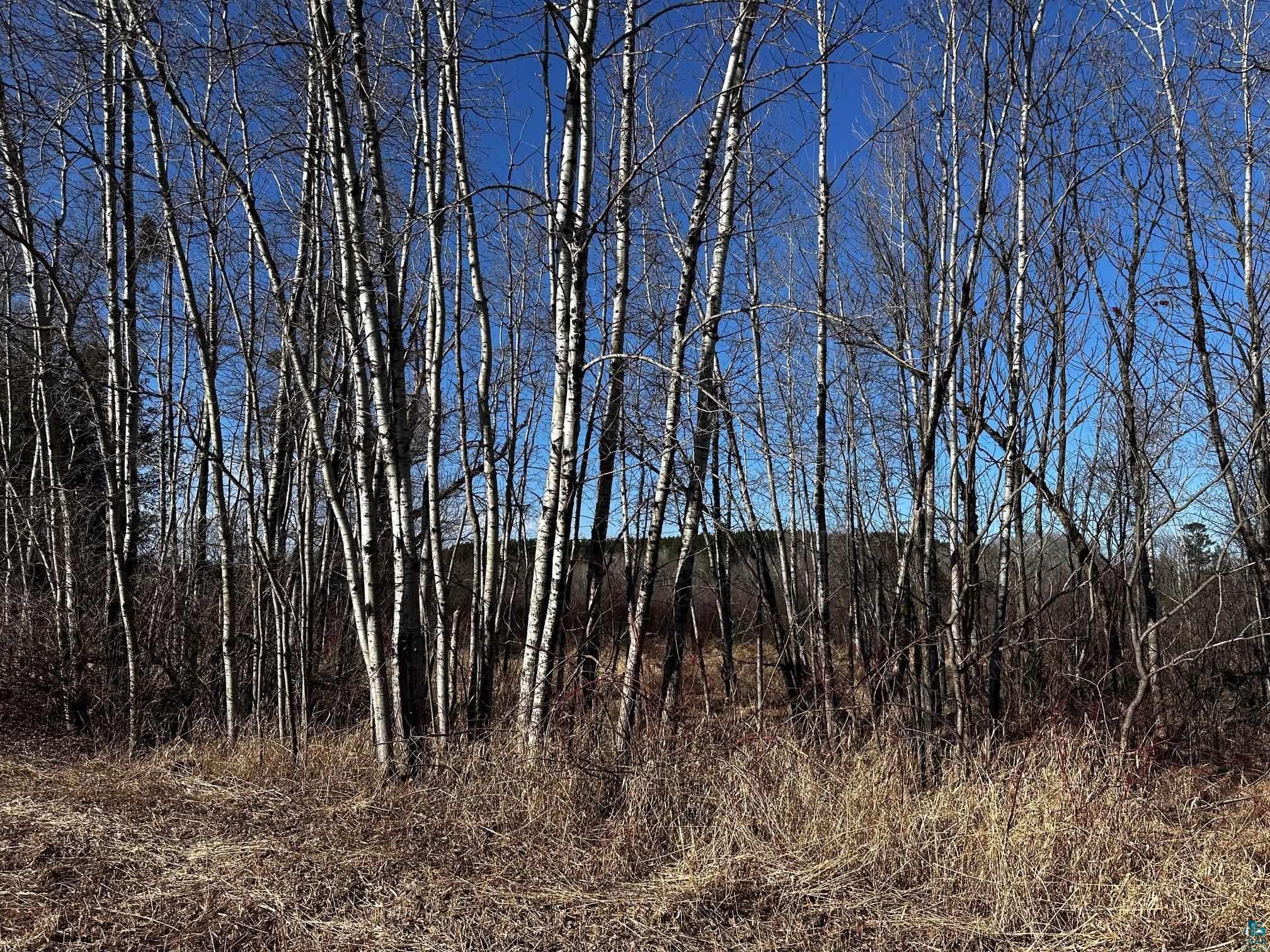 8601 E County Rd L Solon Springs WI 54873 6113058 image4